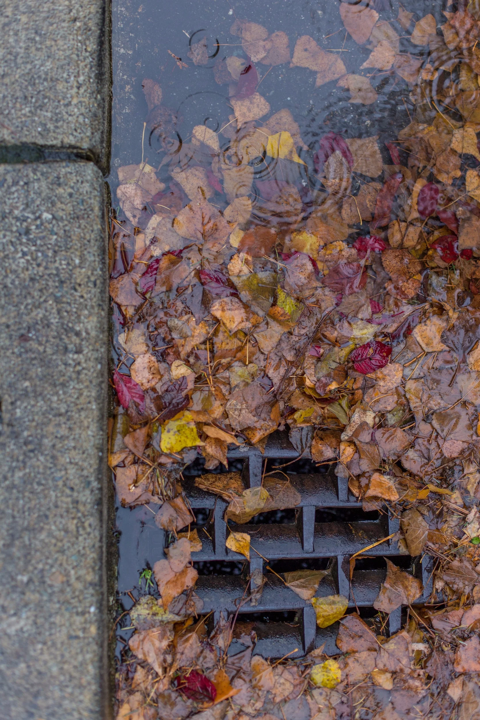 AdobeStock_100150961.jpg