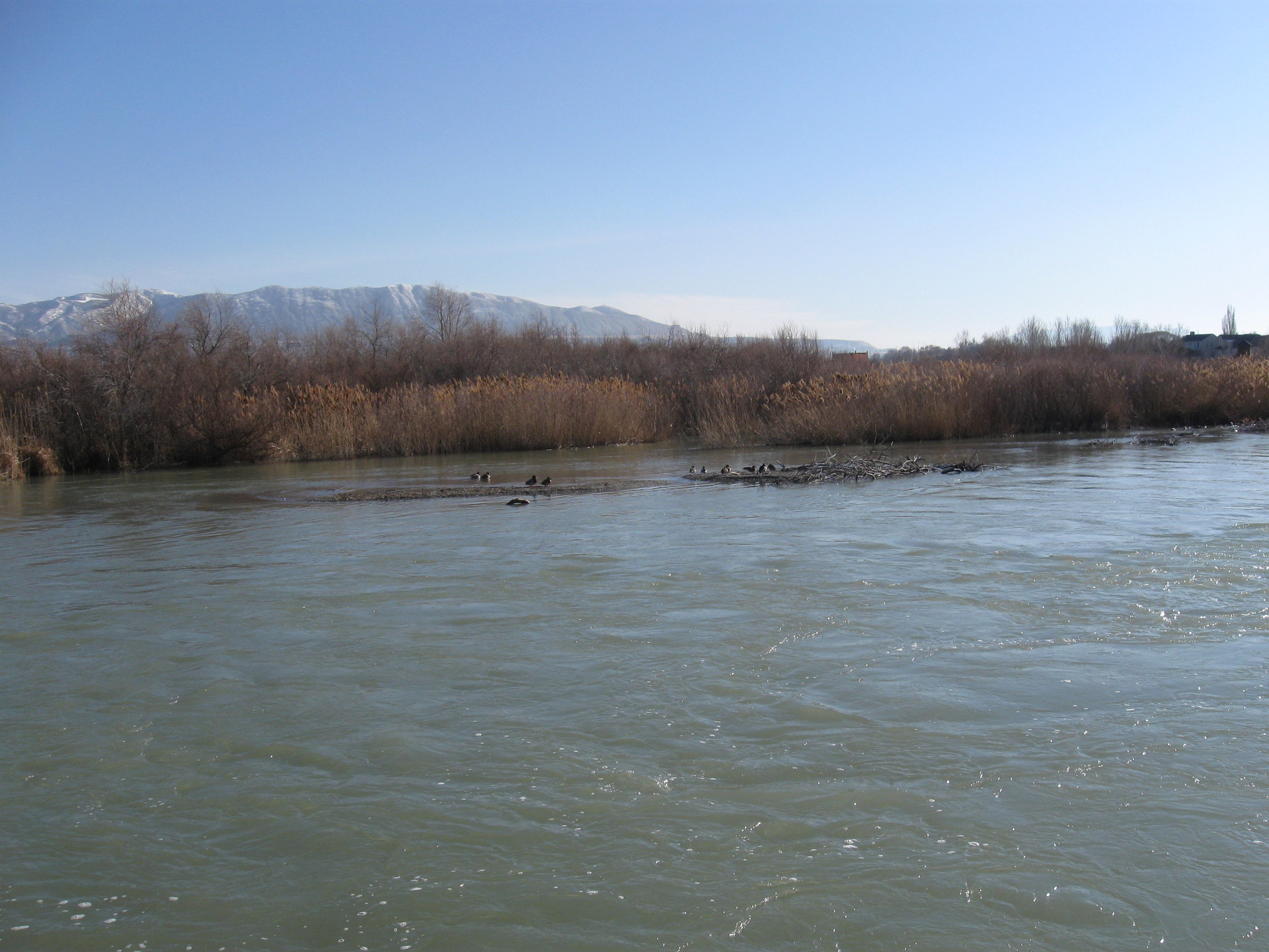 JR_5_11_2012 12300S_2.JPG