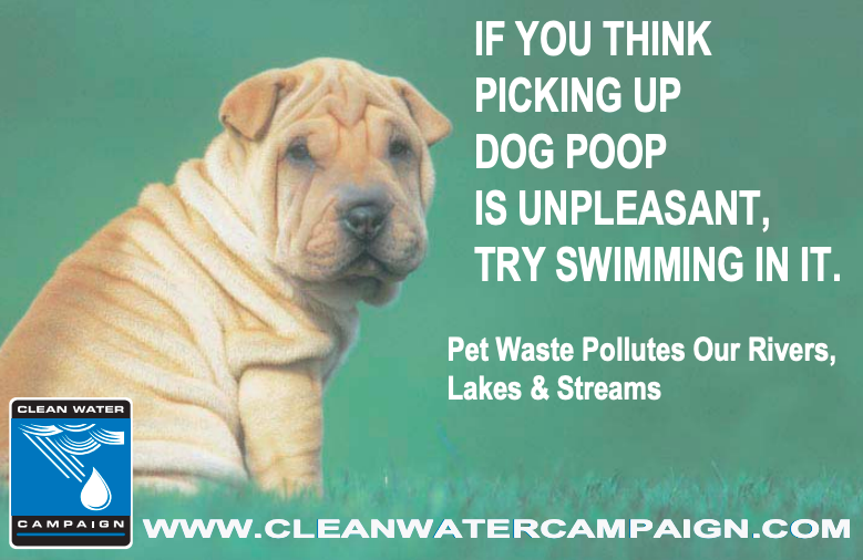 Cleanwatercampaign-FBCover.png