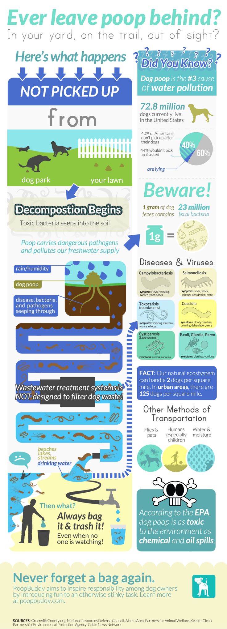 poop infographic.jpg