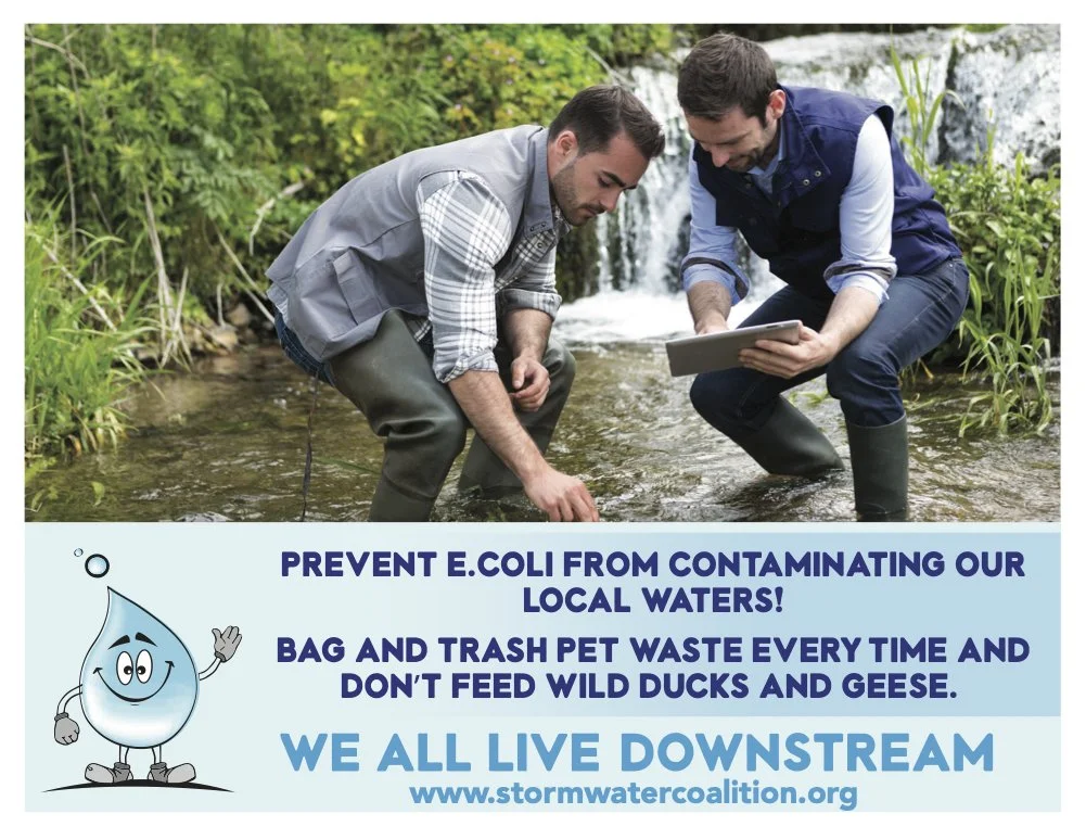 E.coli — Salt Lake County Stormwater Coalition