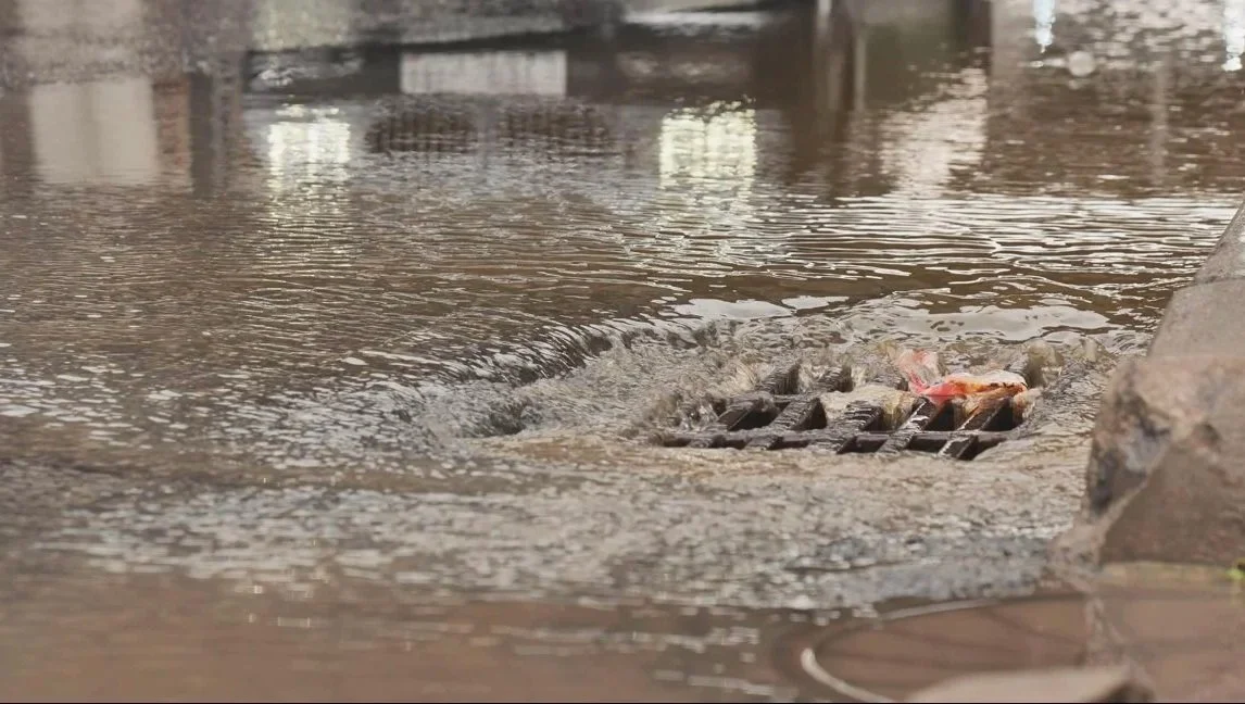 333 storm drain storm drain.jpg