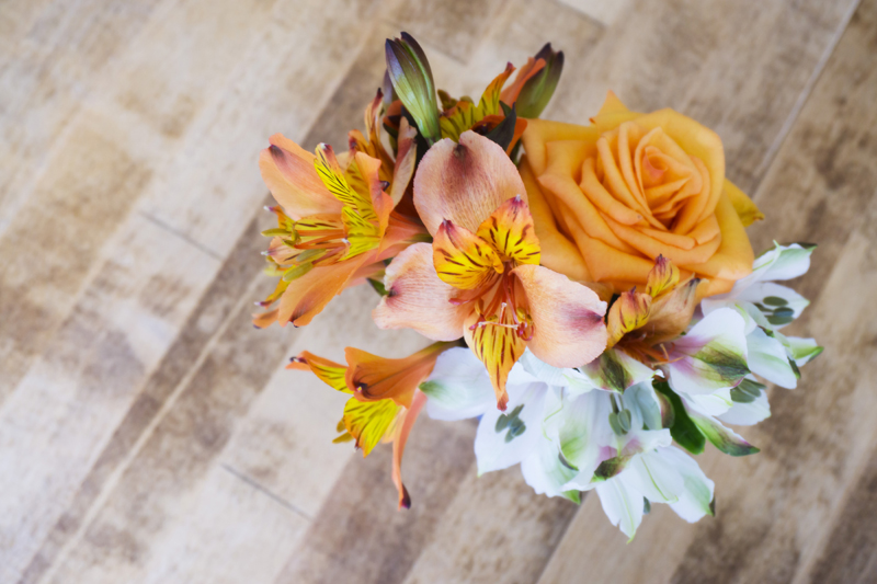 melodys_photography_06212015_009.jpg