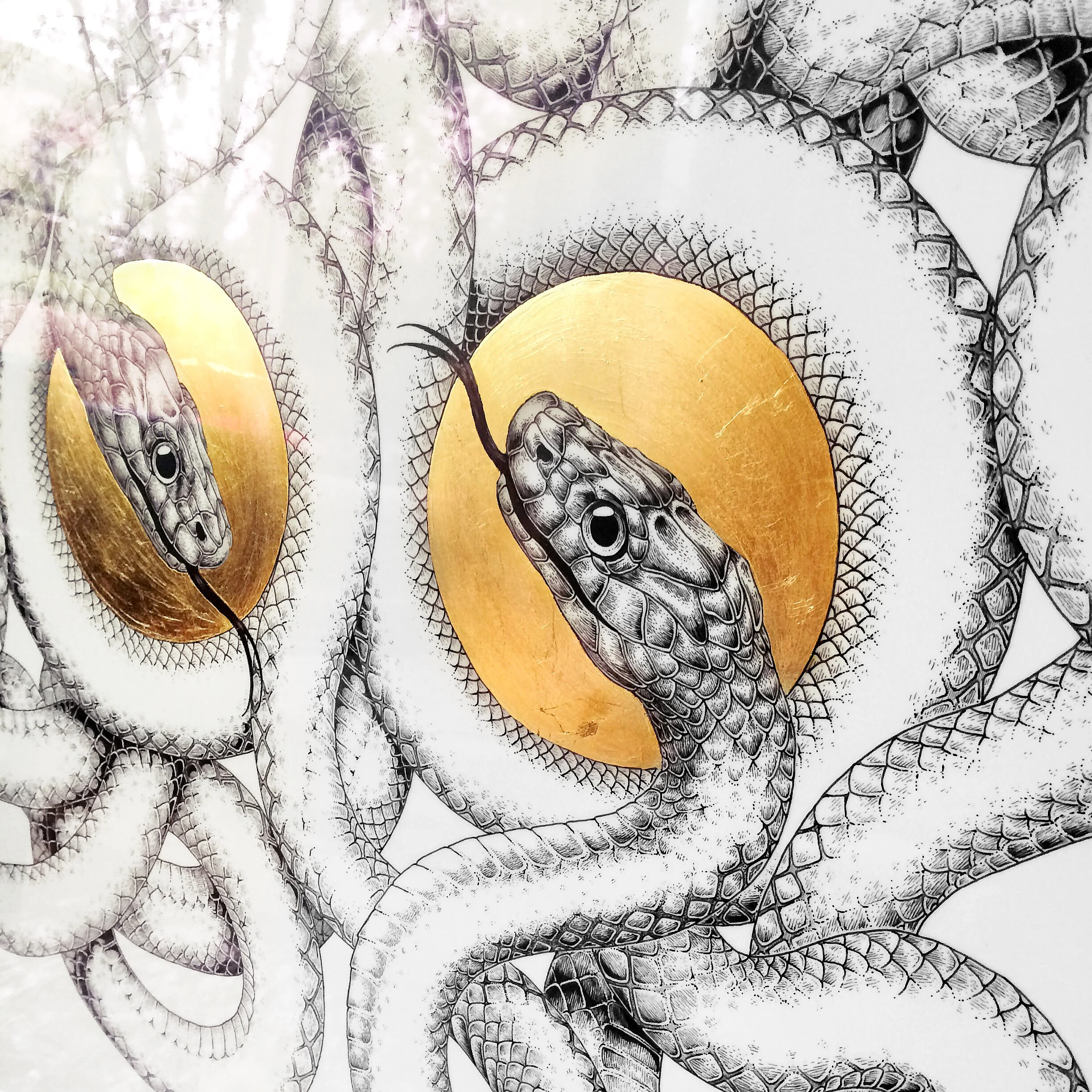 snakes.jpg