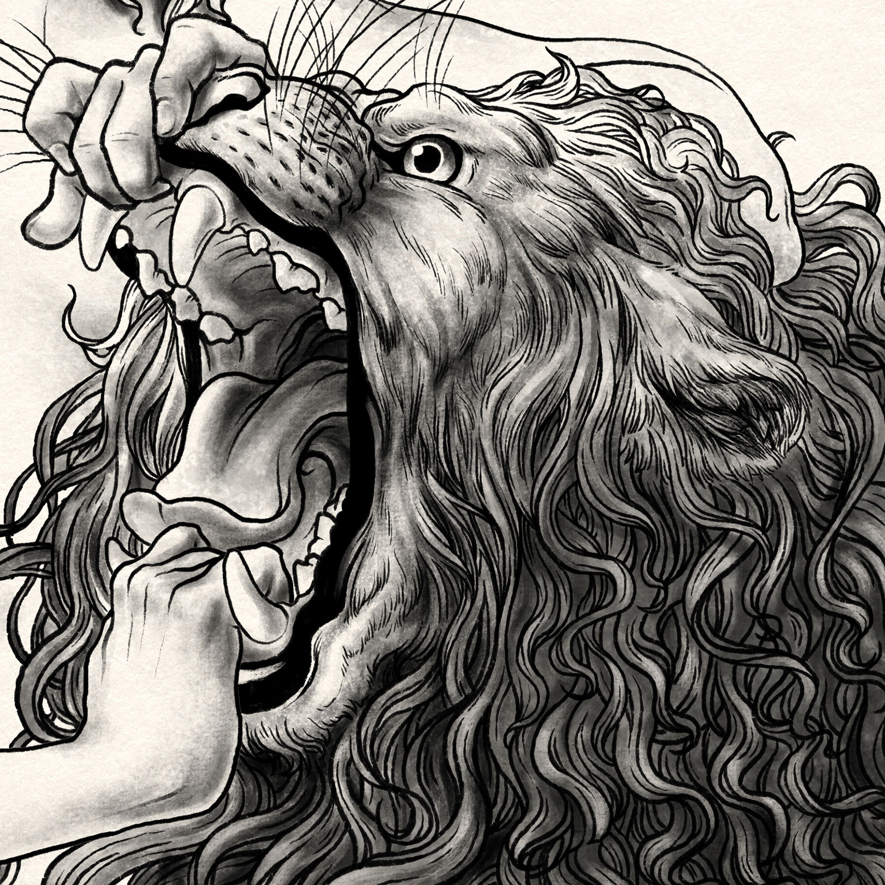 lioness-closeup2.jpg