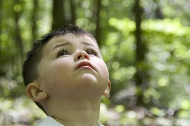 lil jer woods.jpeg