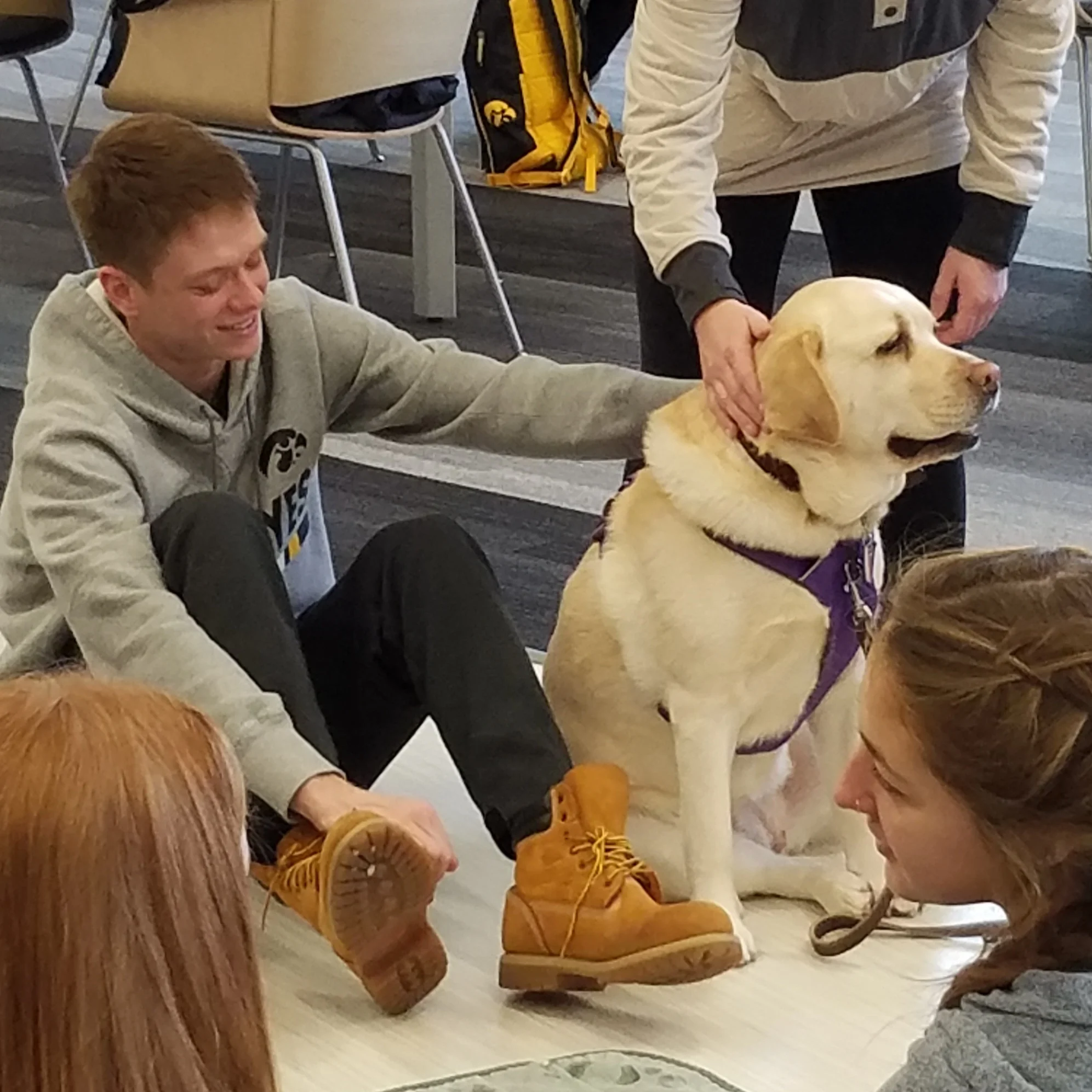 Dog+Therapy.jpg