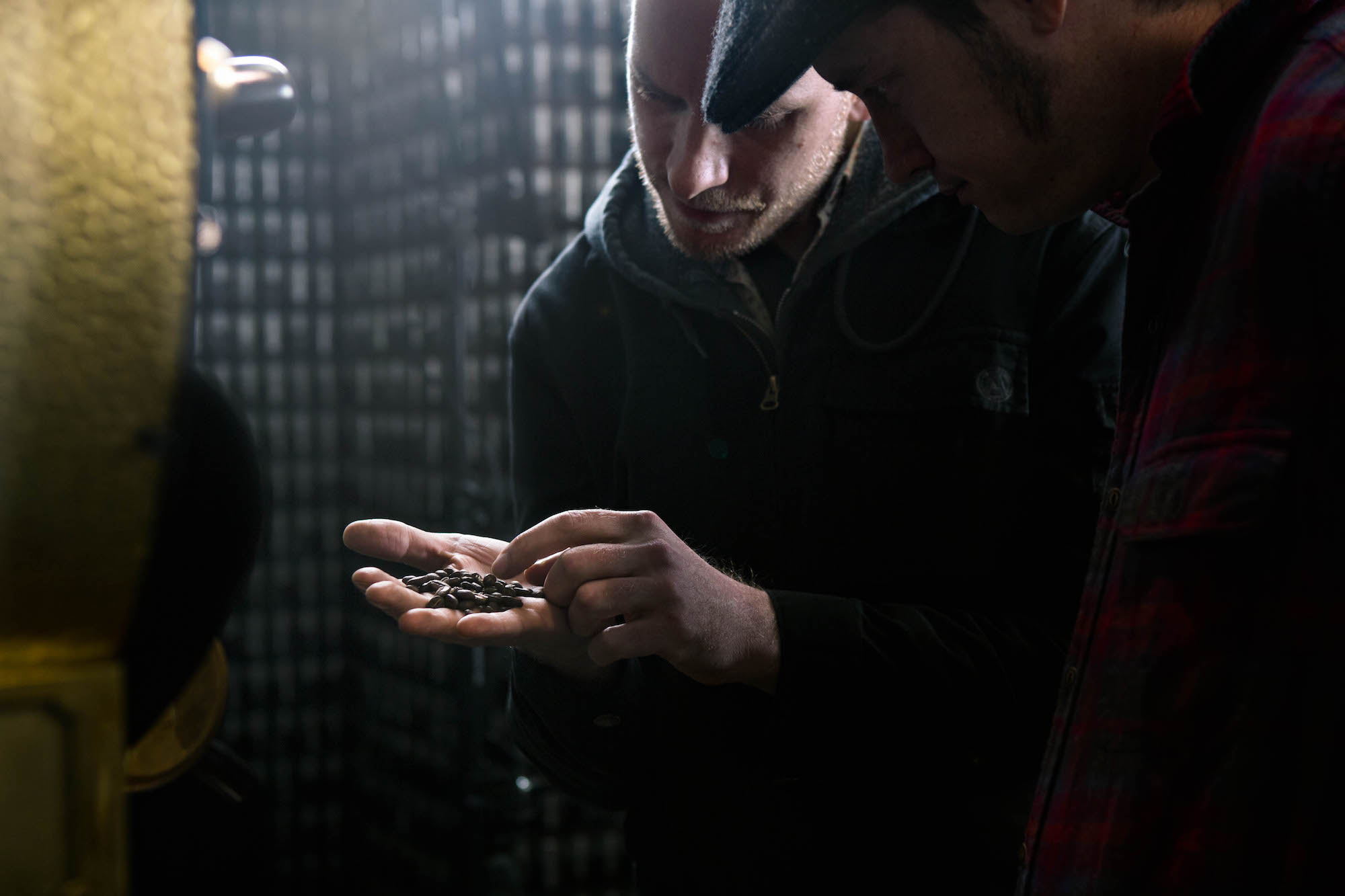 Clark Beans in Hand.jpg