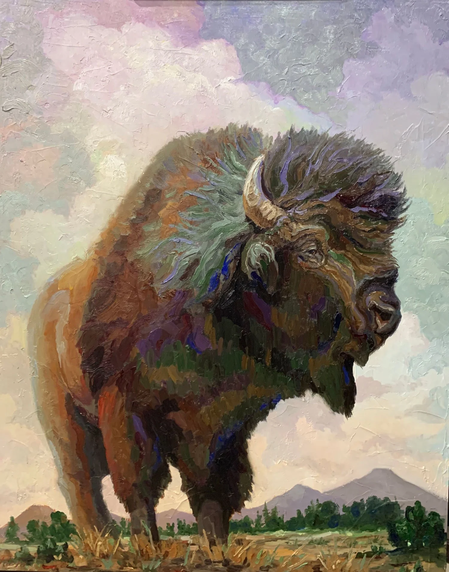 bison.jpg