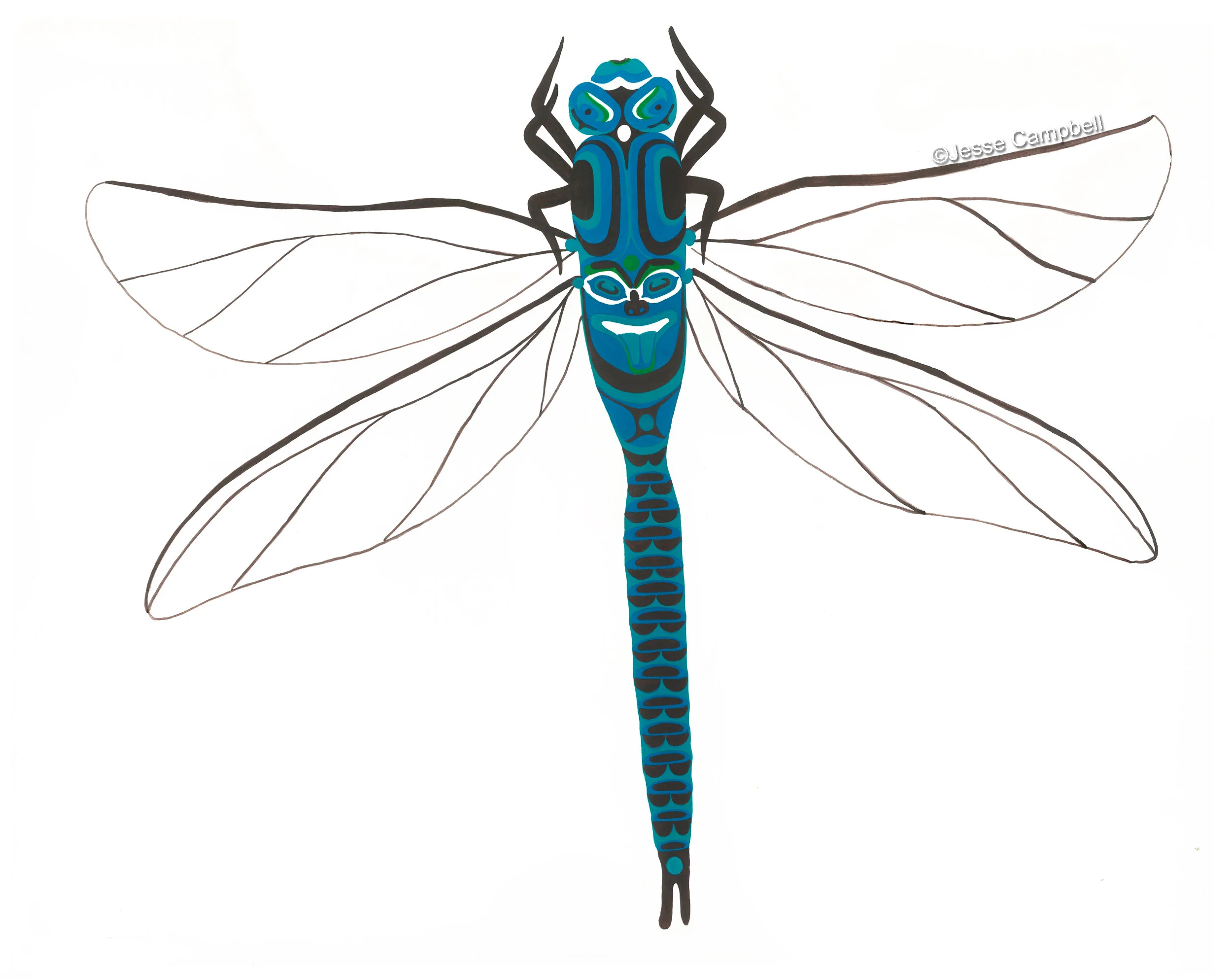 Dragonfly_JC.jpg
