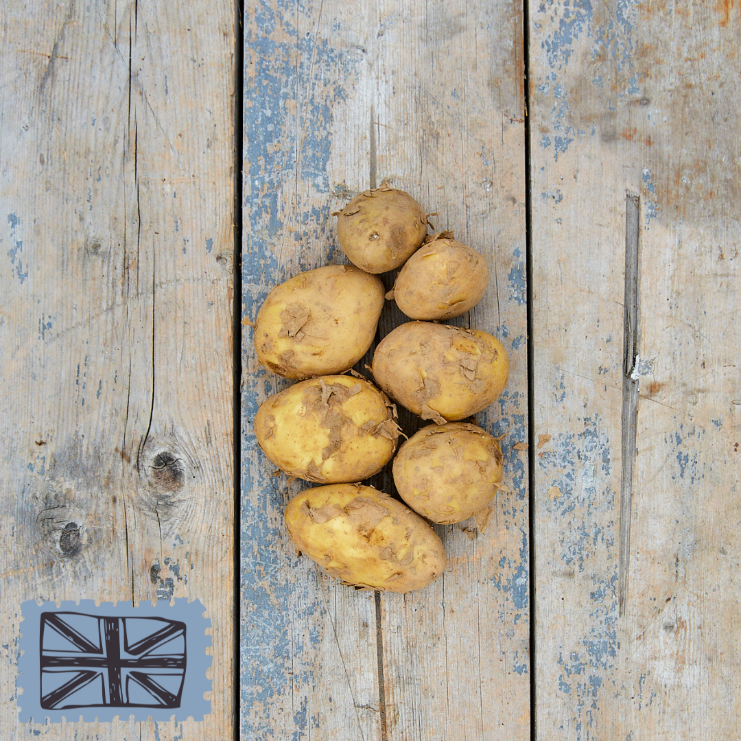 Slager Consequent stel je voor Jersey Royal Potatoes<br/>/500g — Kingfisher Farm Shop