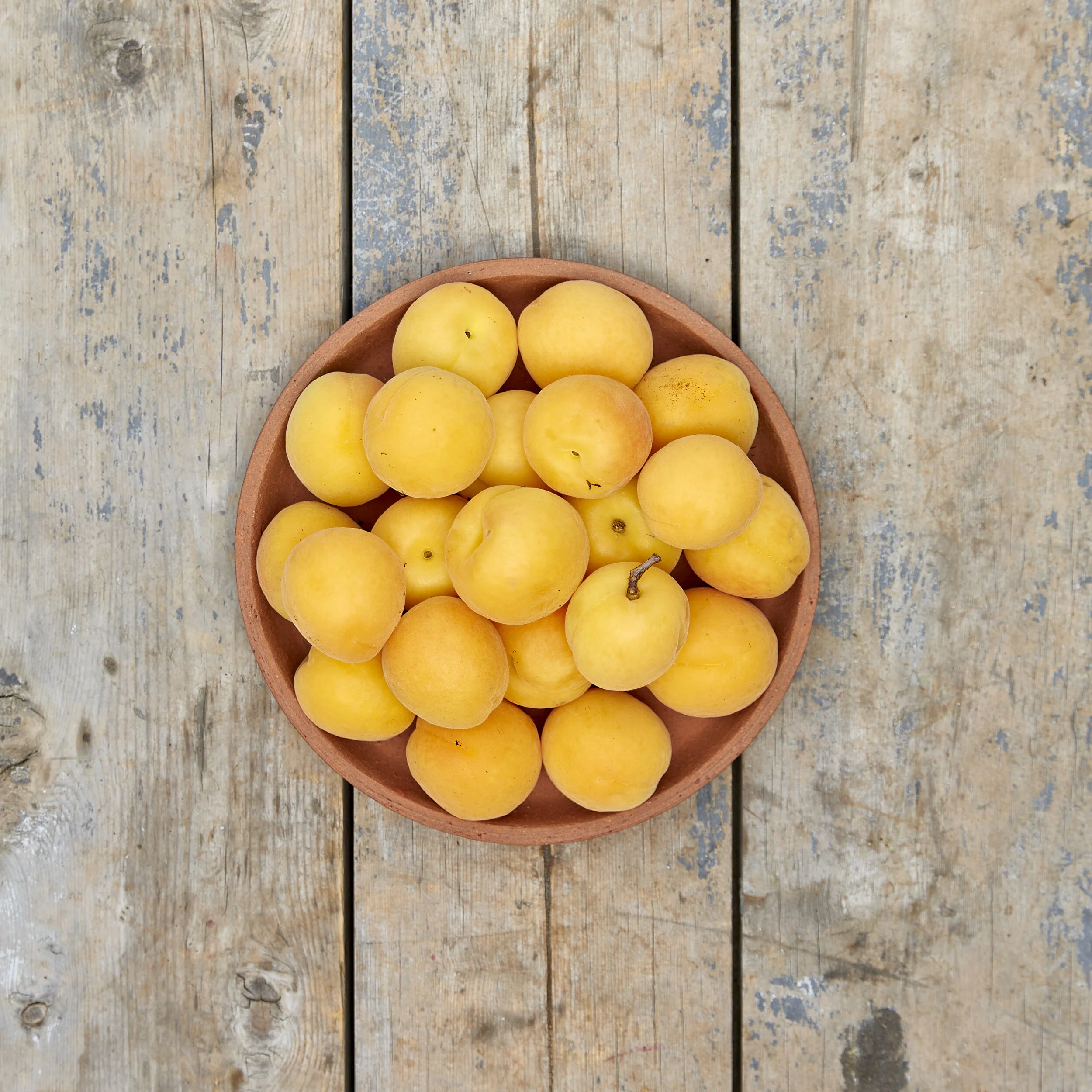 Apricots
