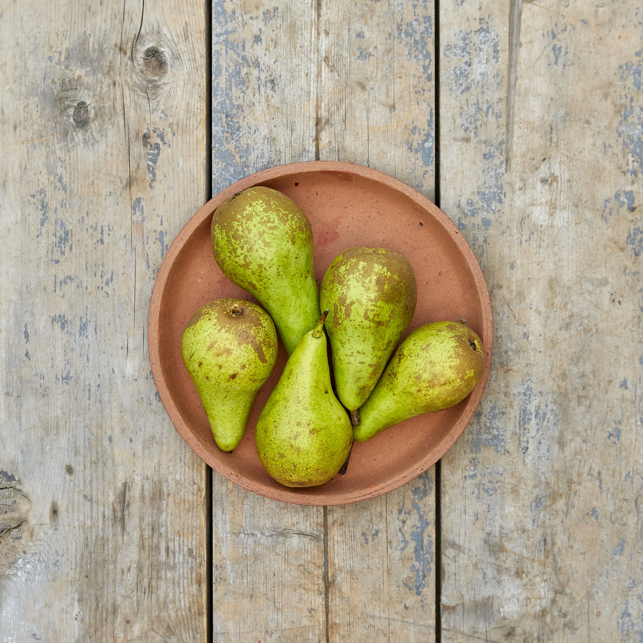 Conference Pears