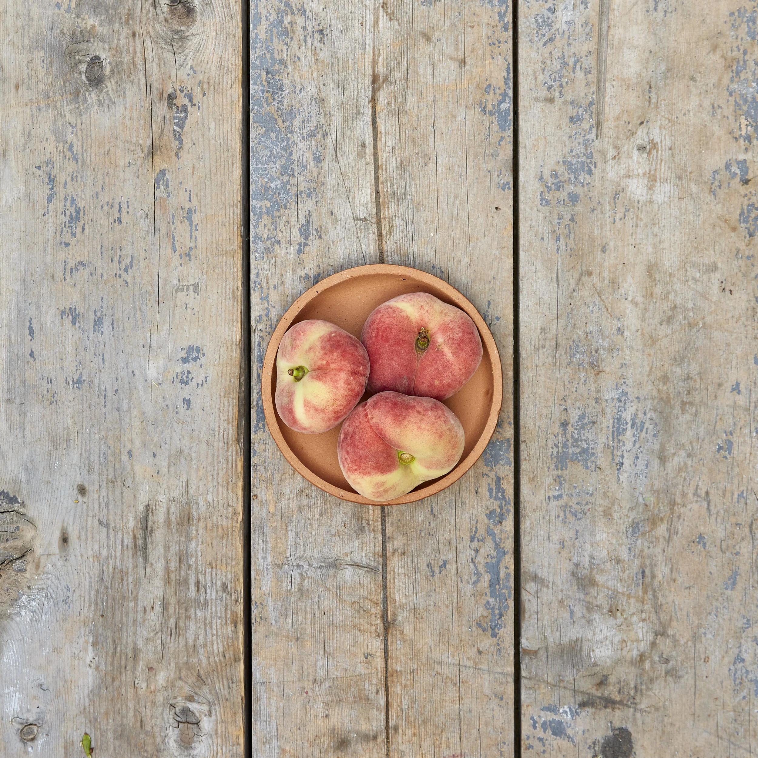 Mountain Peaches