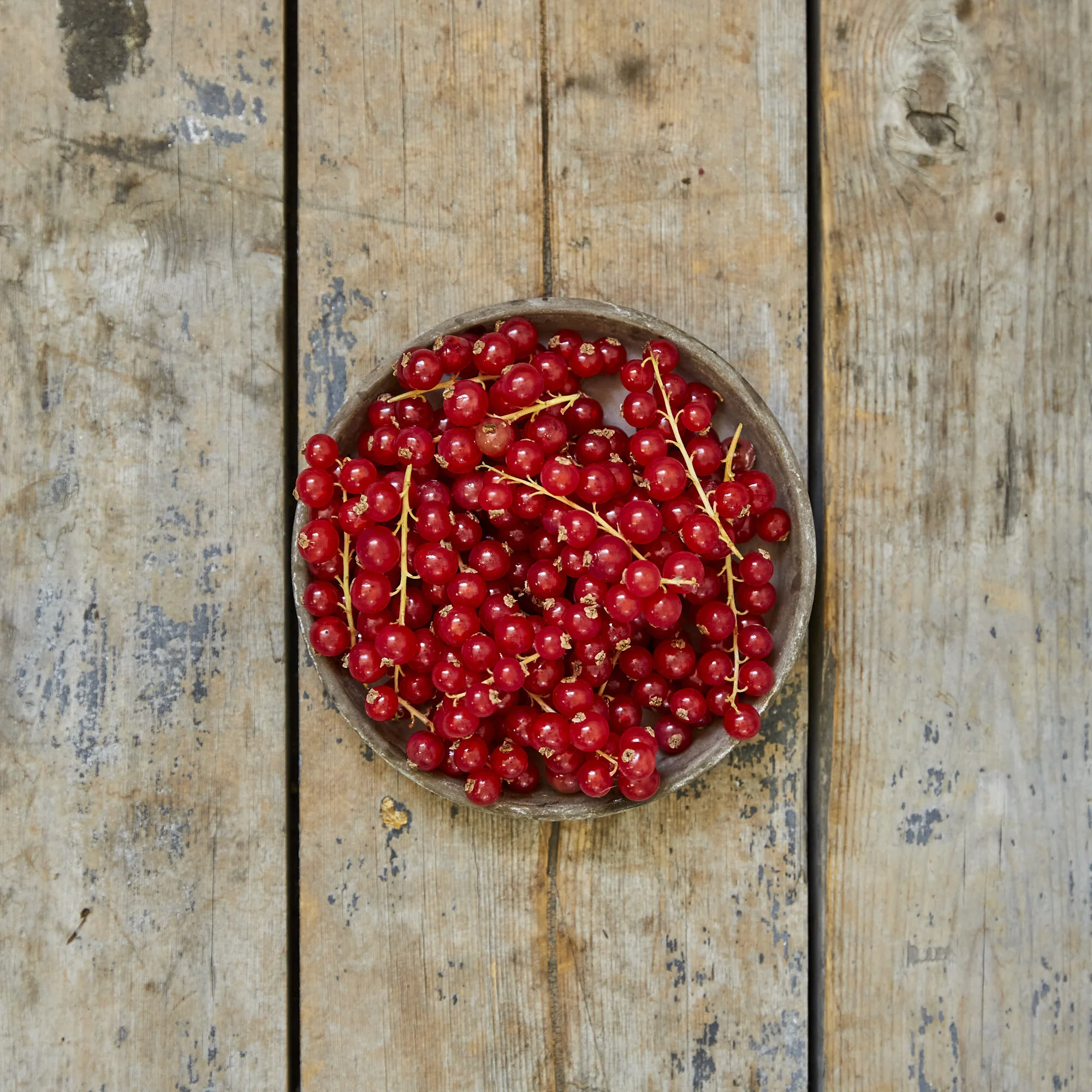 Redcurrants