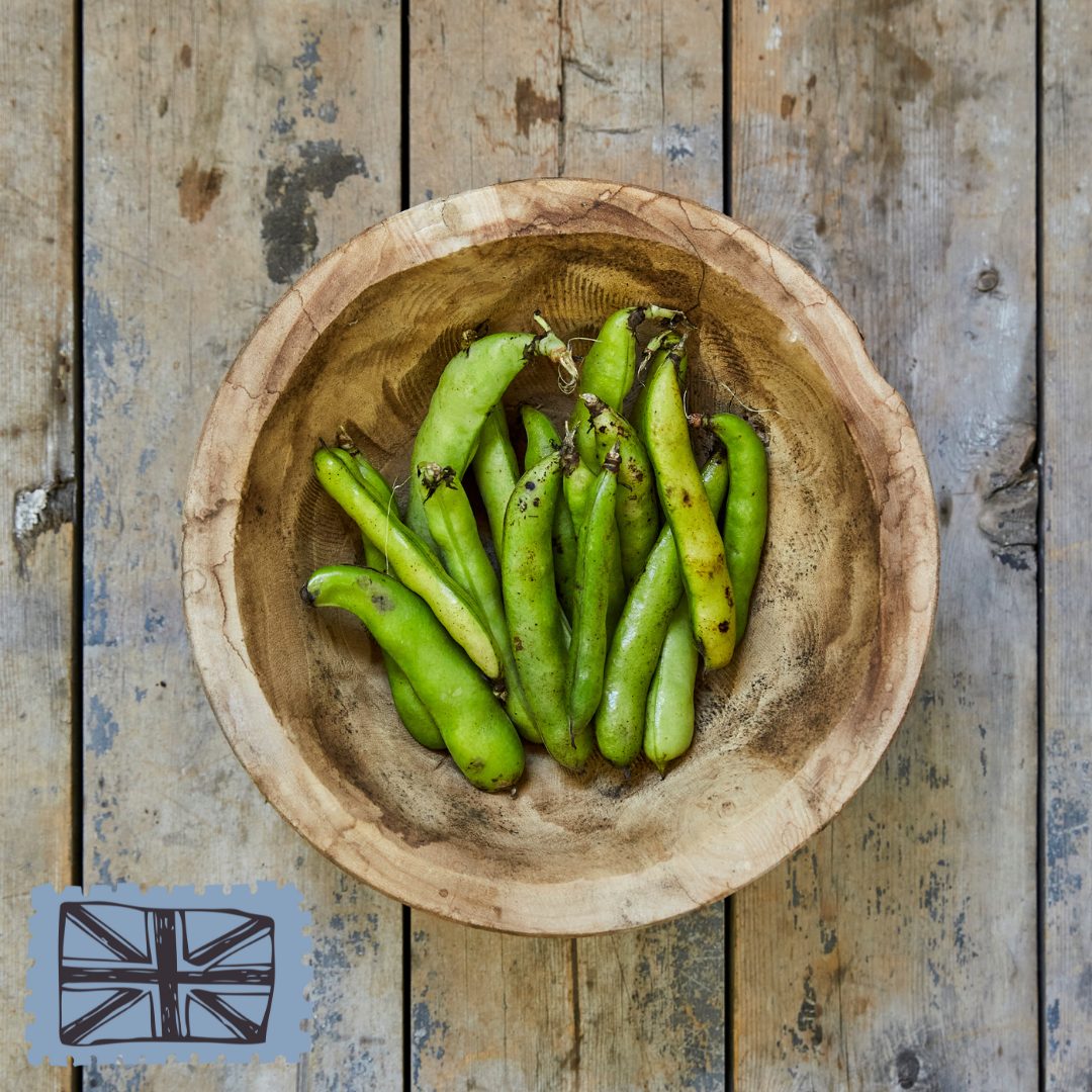 Broad Beans /220g