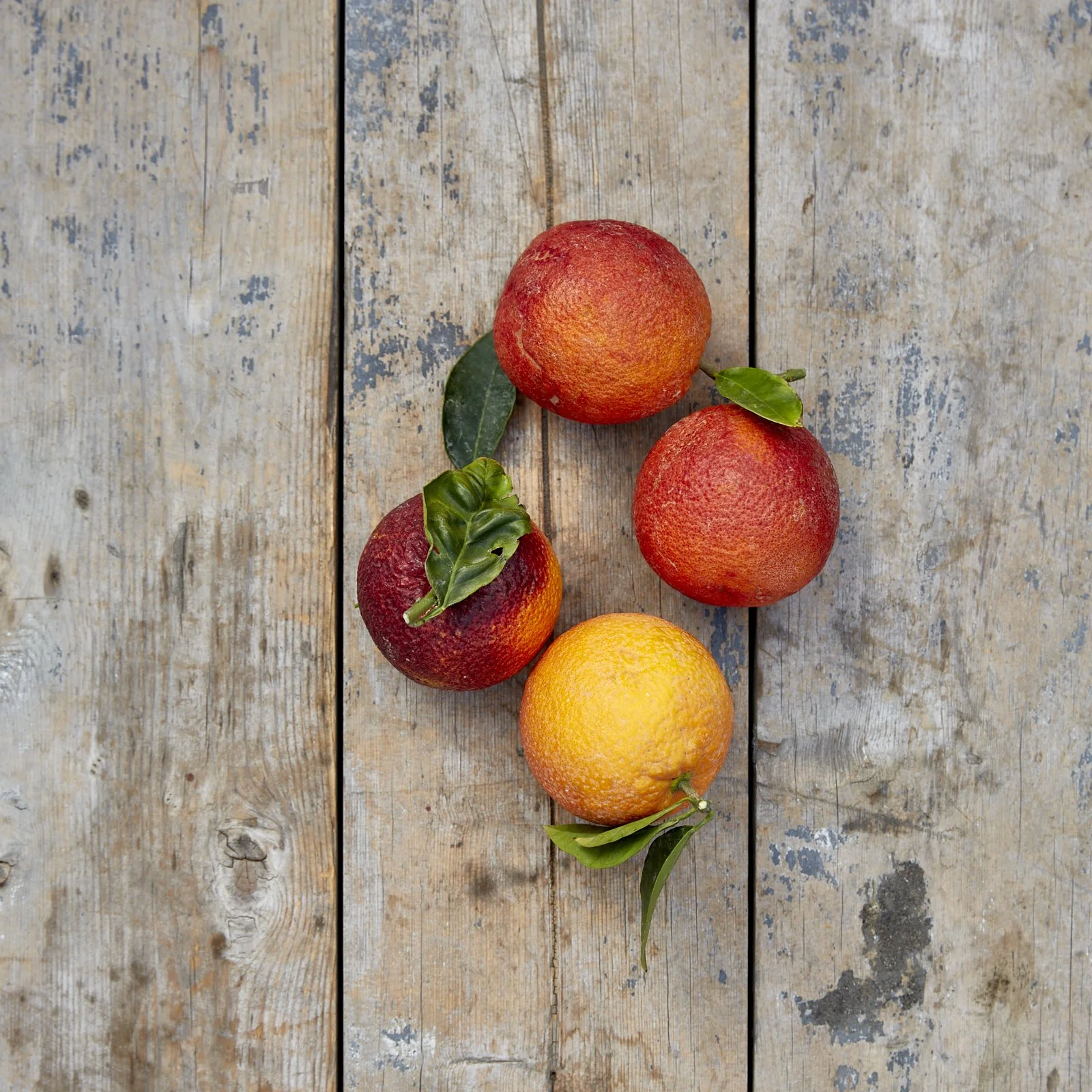 Blood Oranges Tarocco Fire