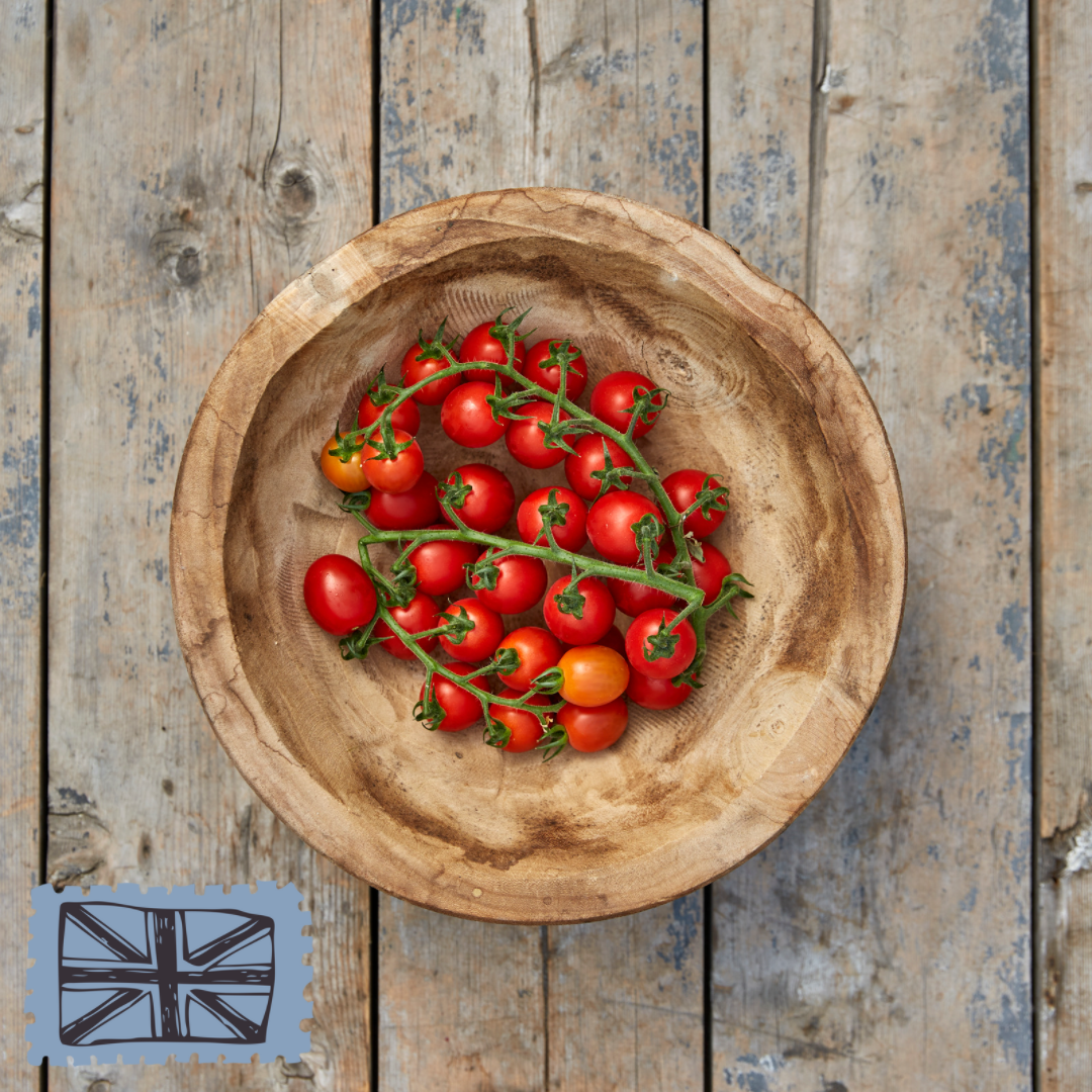 Arreton Jewel Tomatoes /Vine