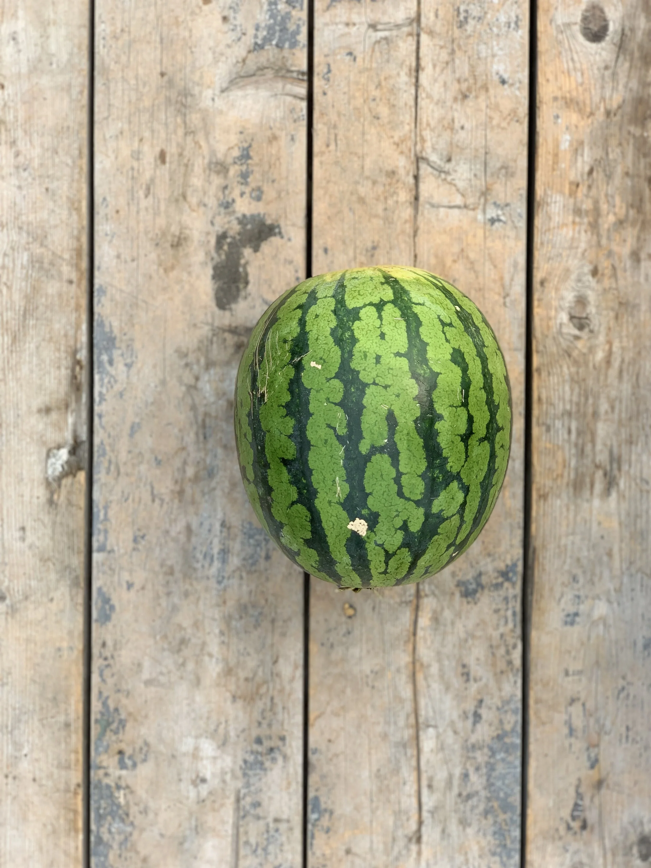 Watermelon