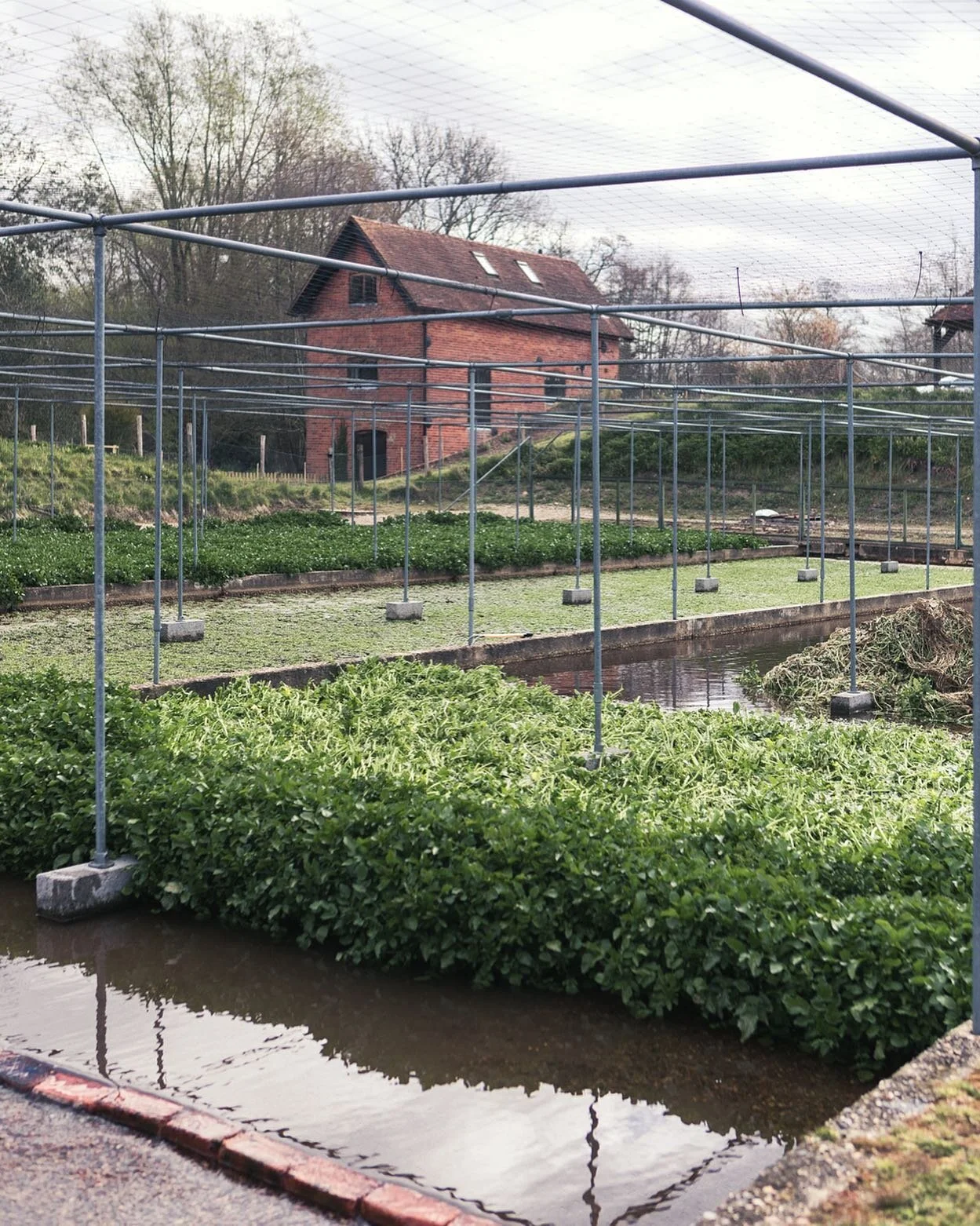 Kingfisher Farm Shop