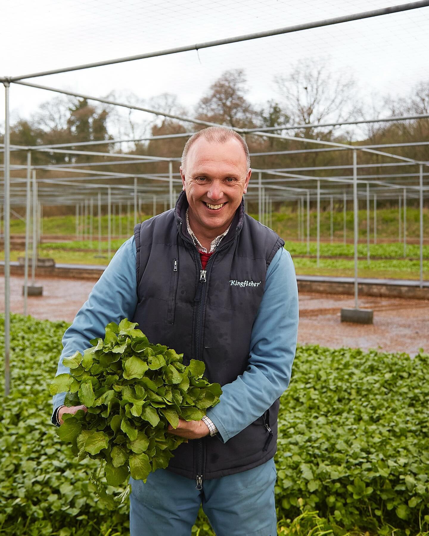 Hello April! You would be a fool not to enjoy our watercress! 

#aprilfools 
#april
#watercress 
#lovewatercress 
#watercressfarm 
#watercresslife 
#170years 
#growingwatercress 
#growninspringwater 
#pesticidesfree 
#traditionallygrown 
#itsaskill 
