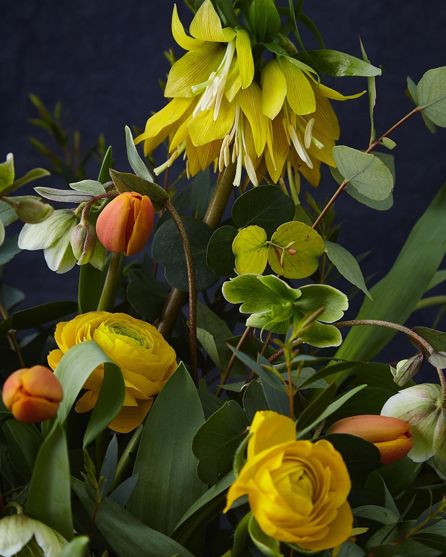 A little Monday morning sunshine! Keeping it seasonal 😉

English grown tulips and ranunculus are glorious. 

#seasonalblooms 
#sunshinewithflowers 
#kingfisherfarmshop