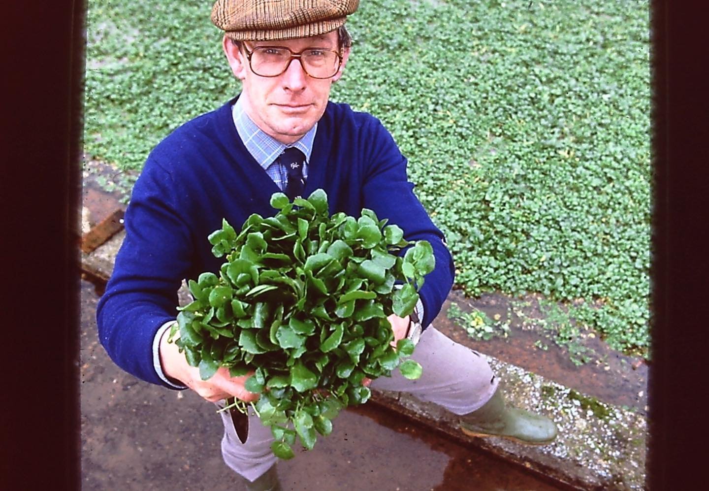 We have been delving into our archive box! We have found some wonderful photos. Here&rsquo;s Barrie, quite a few years younger. One thing hasn&rsquo;t changed, he is still very proud of his watercress. 

#watercress
#lovewatercress
#watercressgrowing