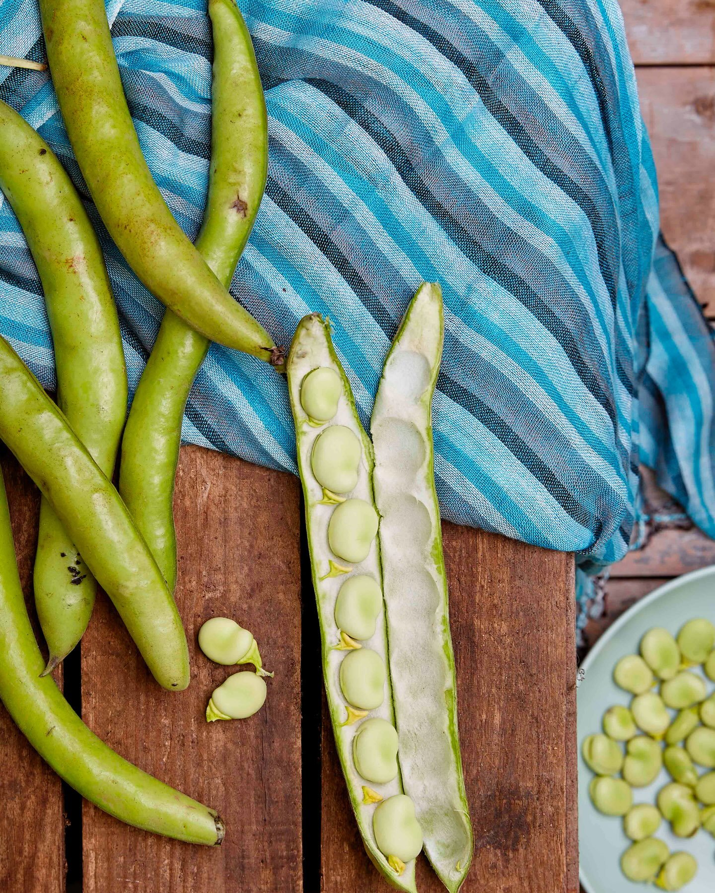 Broad beans have arrived! 

The late spring crops are arriving and looking wonderfully fresh.  You will be able to enjoy these beautiful beans for the next few months. 

#broad beans
#may
#kingfisherfarmshop 
#newcoventgardenmarket
