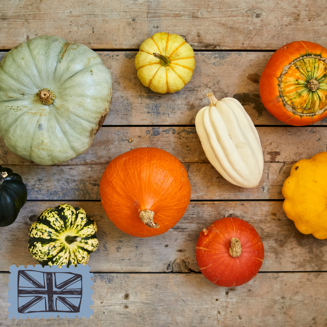 Cambridgeshire Squash - from £1
