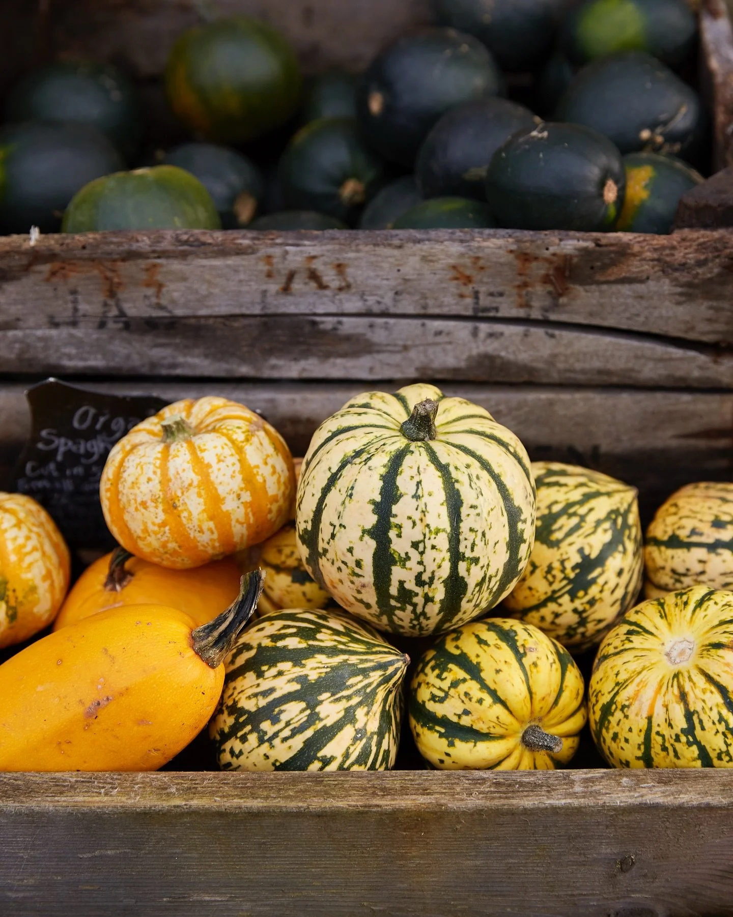 So many squash to choose from. 
#squashseason 
#cookingwithsquash 
#autumn 
#october 
#harvest 
#kingfisherfarmshop