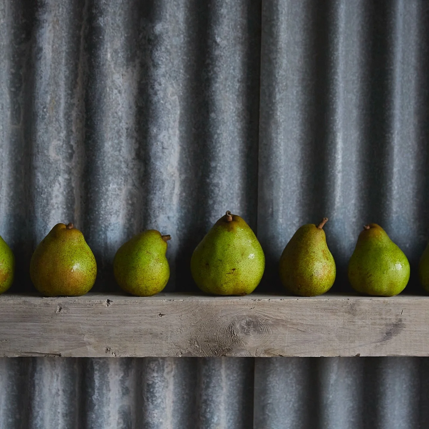 The Comice, a luxurious and decadent fruit. This pear has a smooth, buttery texture with a rich flavour, prominent honey notes and a subtle hint of vanilla. 
Grown by @ringdenfarm 
#pears 
#comice 
#ringdenfarm 
#kingfisherfarmshop