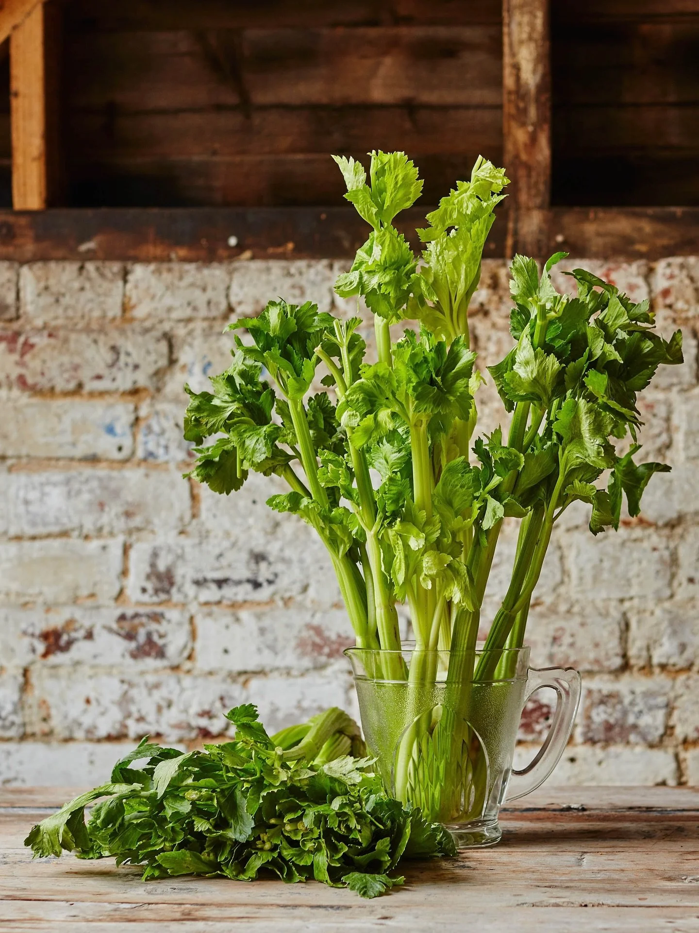 It’s time to enjoy Fenland celery. 
Fenland Celery is a unique white winter celery, available from October through December.
This British heritage ingredient owes its delicate sweet, nutty taste and crisp, clean texture to traditional growing