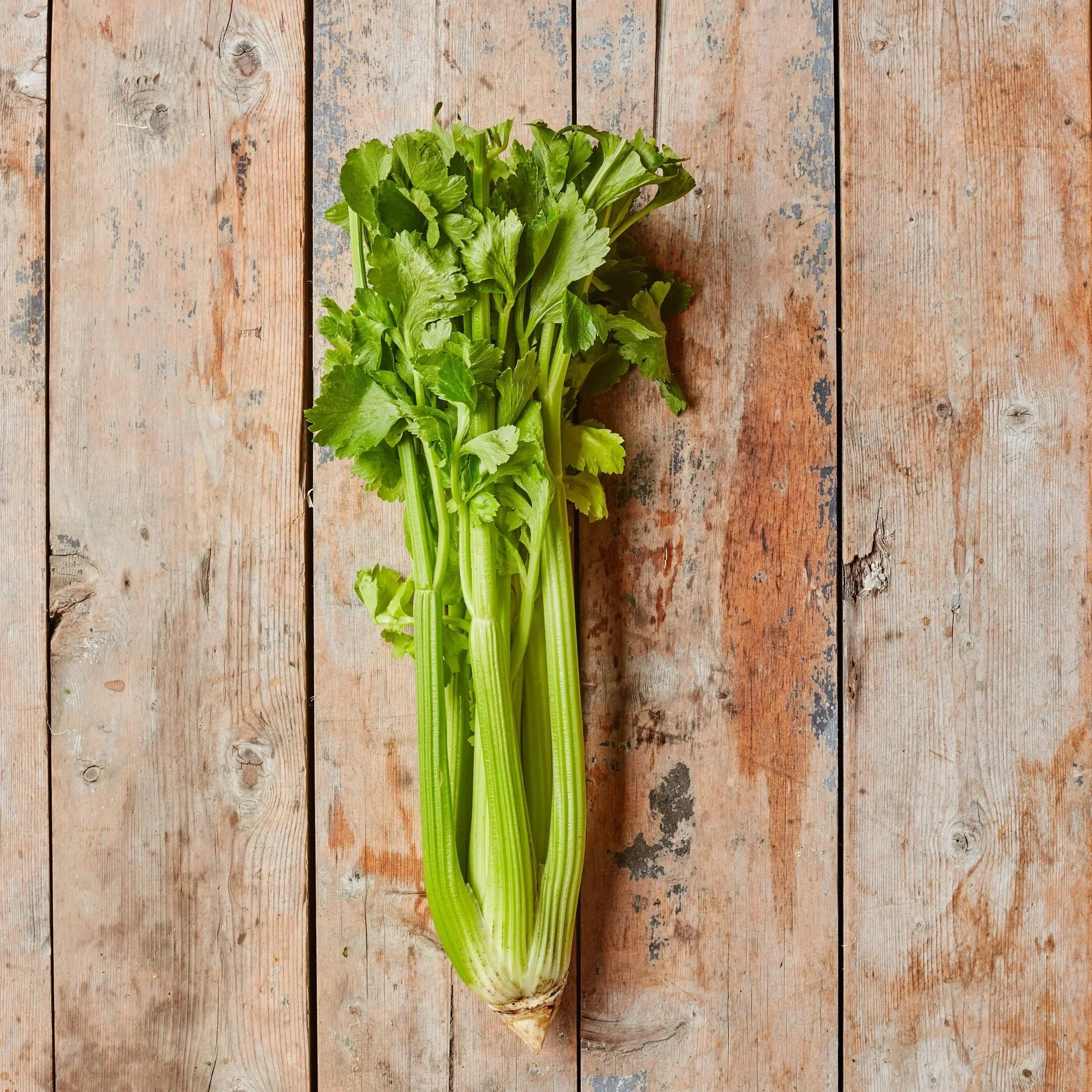 Fenland Celery - £2.50 each