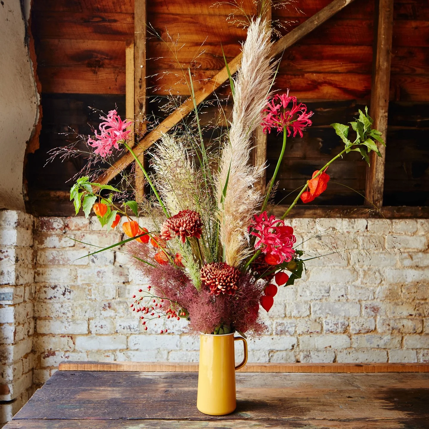 Autumn gives us Nerines. Fireworks on stems! 

Enjoy your bonfire celebrations.

#bonfirenight 
#neeines
#kingfisherfarmshop