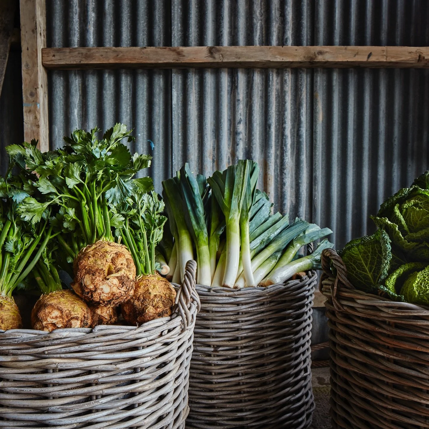 Christmas feasting celebrates the seasonal produce with all the wonderful vegetables available. 

Preparing for the festive season, there is still time to place your order with us. Pop over to our website. For those who prefer the pen and paper metho