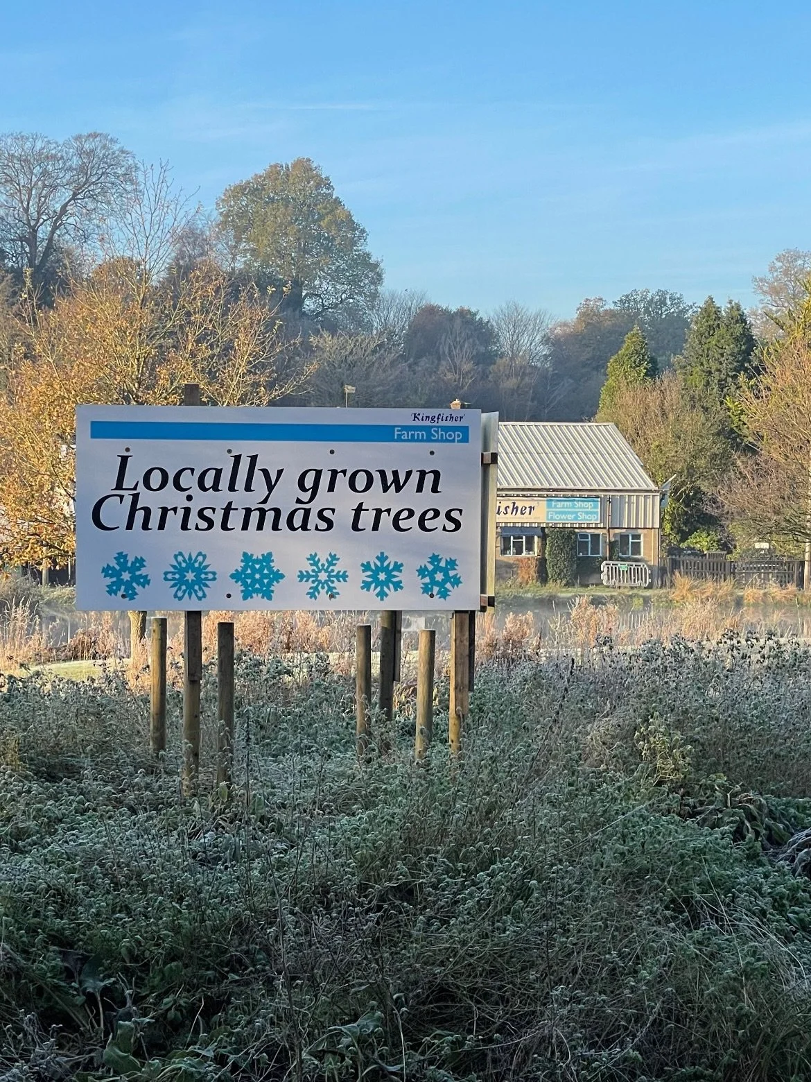 There is something quite special about the scent of a Christmas tree, when it is brought in doors. The fresh, woody pine aroma is wonderful. 

This year our Christmas Trees are supplied by Oxenford Farm in Elstead. They have been growing Christmas Tr