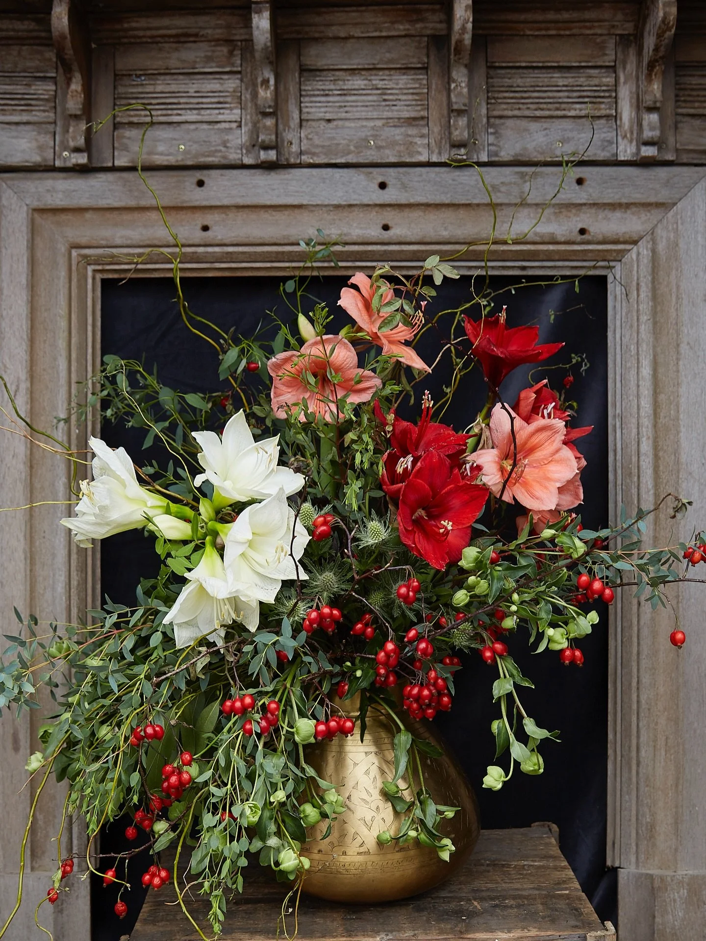 Christmas brings us show stopping amaryllis. They demand attention and definitely provide a wow factor to an arrangement. 

Flower Shop is open today, Sunday 10-4.

Enjoy your Sunday!

#flowershop 
#christmasdelights 
#amarylis 
#kingfisherfarmshop