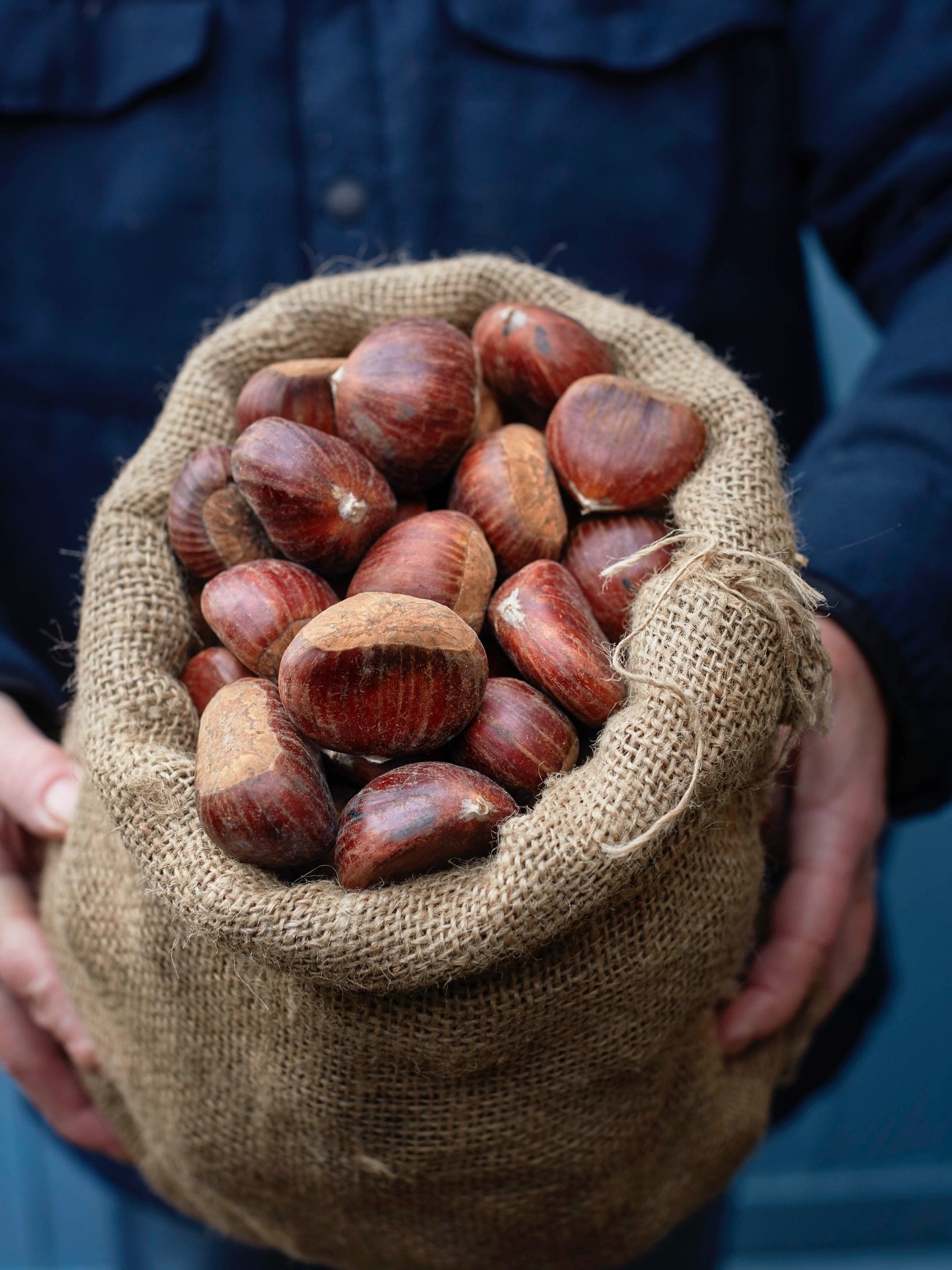Chestnuts for the stuffing, roasting or added to the brussel sprouts. Add them to your basket for Christmas feasting. 

#chestnuts 
#christmas 
#feasting 
#kingfisherfarmshop
