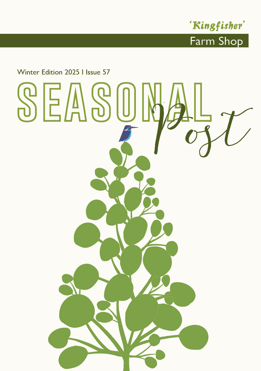 KINGFISHER WINTER  SEASONAL POST 2025.png