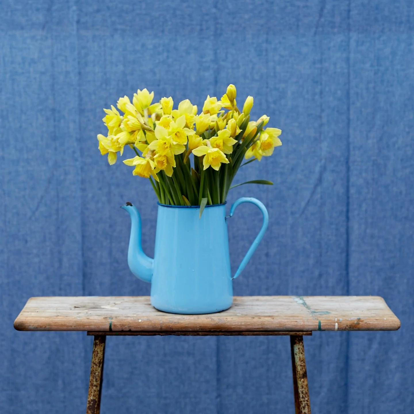 Hello March. 
Celebrate Springs arrival &amp; St David&rsquo;s Day with sunshine yellow daffodils. 

Have a good Sunday 💛 

#march 
#stdavidsday 
#kingfisherfarmshop 
#sunshineyellow