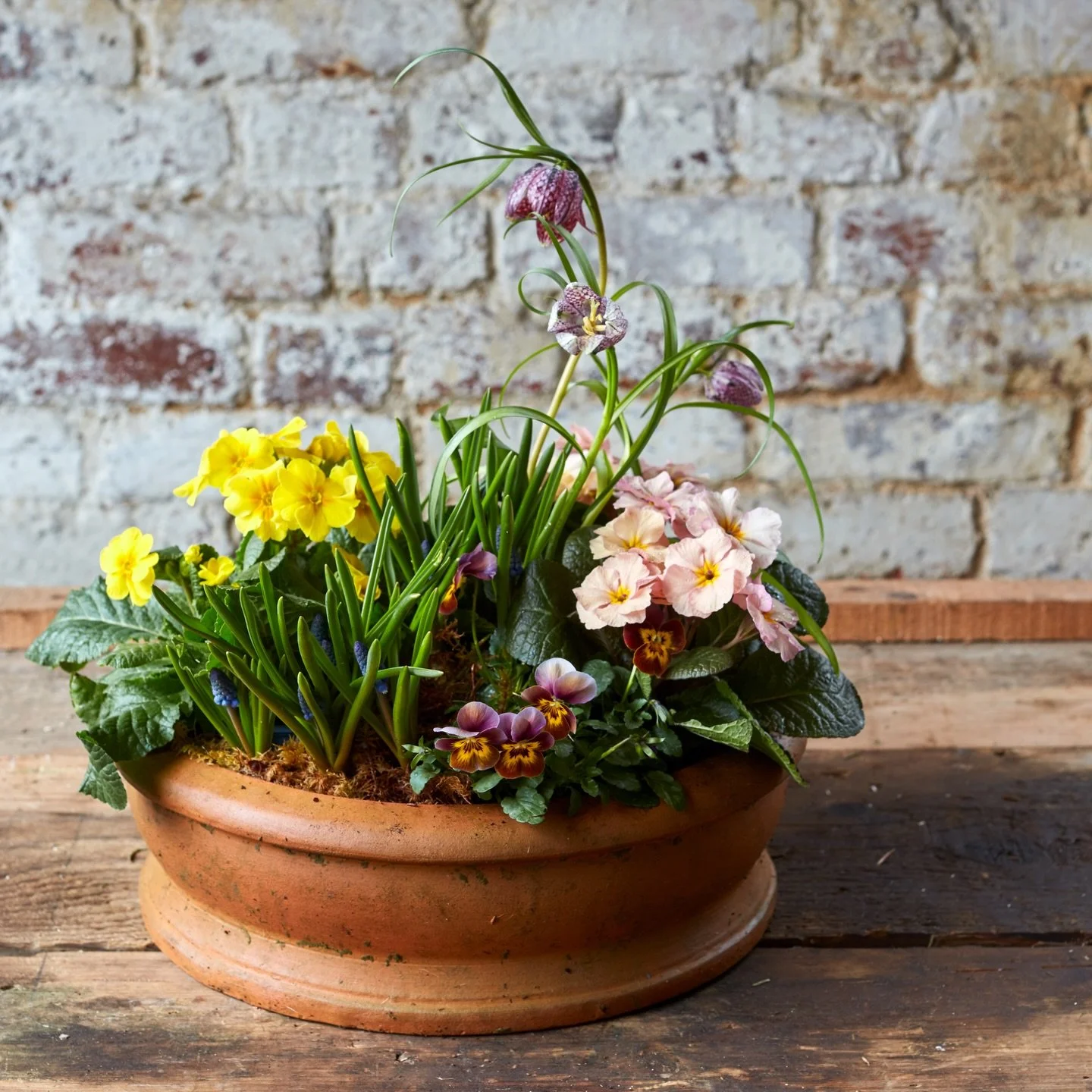 Mothering Sunday, 15 March

It&rsquo;s time to celebrate the wonderful mothers and those that mother in
our lives, and thank them for all they do to nurture and care for us. We&rsquo;ve
some beautiful floral ideas on our website that can be delivered