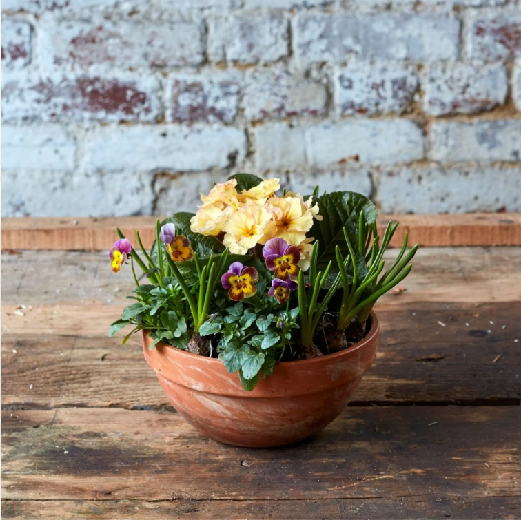 Spring Serenade* - £25