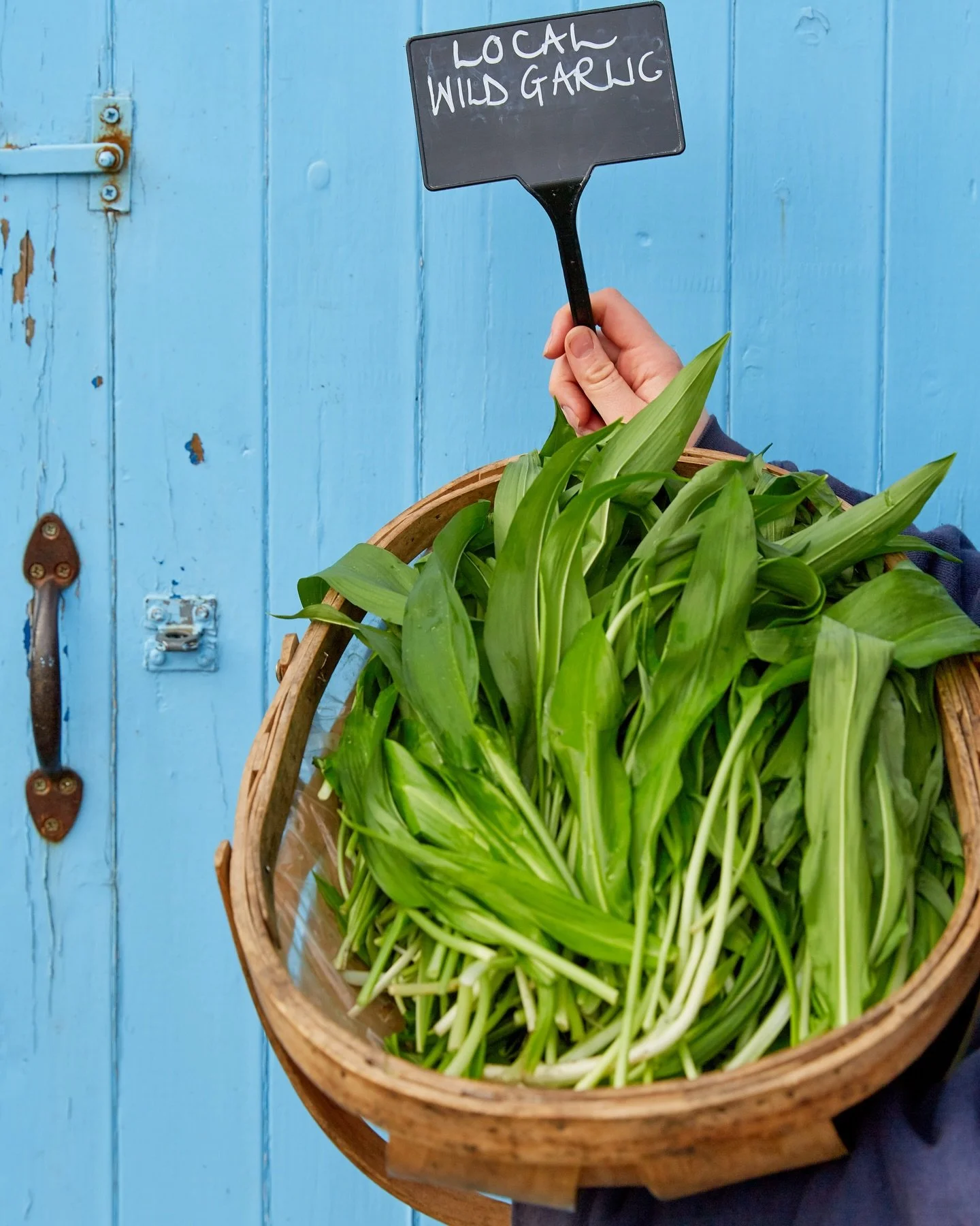 Wild Garlic season is most definitely here! These bright green leaves are an extremely versatile addition to culinary favourites such as pesto, risotto, cheese scones and ravioli, or can simply be added to a colourful stir fry at the
last minute for 