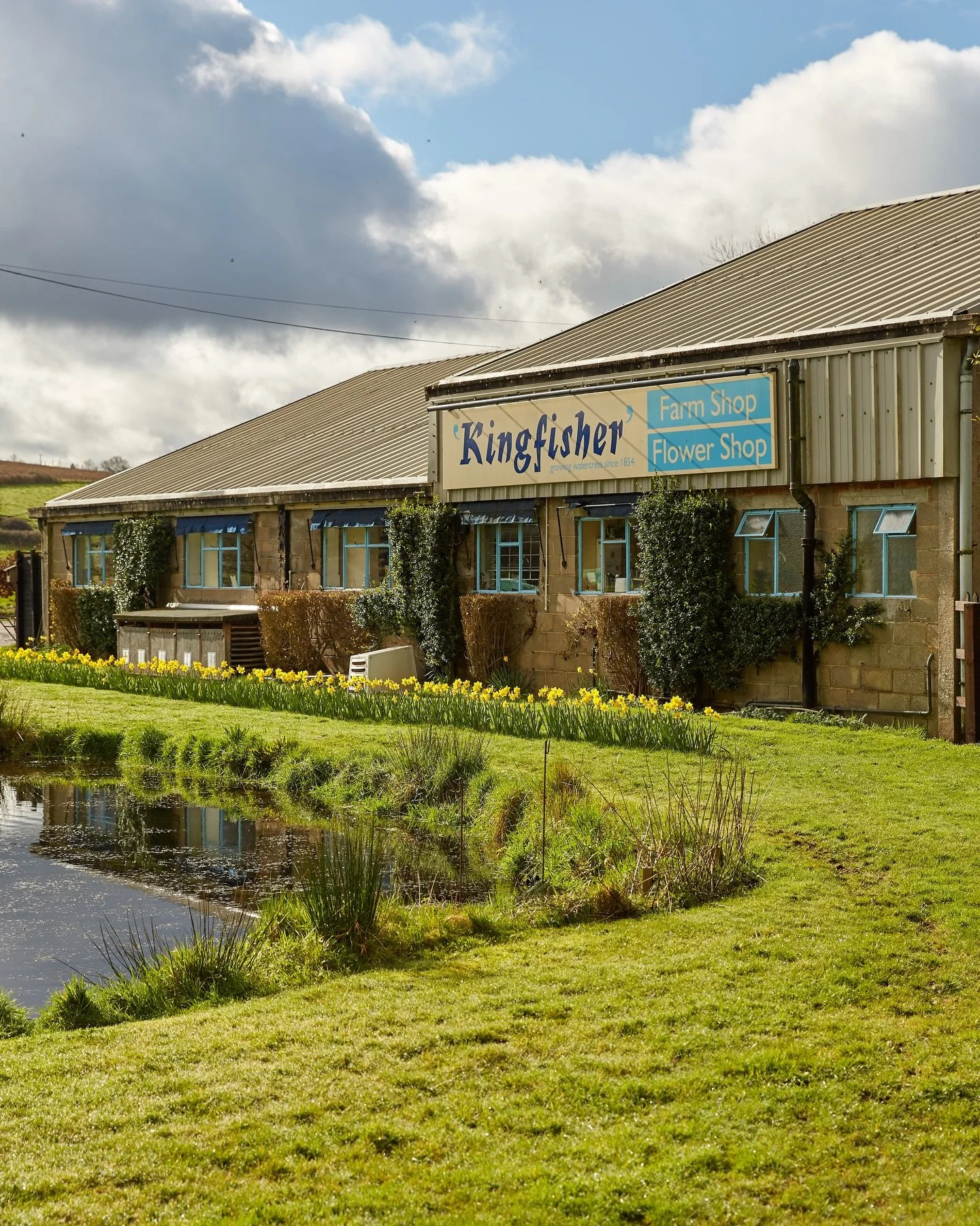 Another day of sunshine! 
Hope you all have a lovely weekend💛

#kingfisherfarmshop 
#springhassprung 
#sunshine 
#abingerhammer