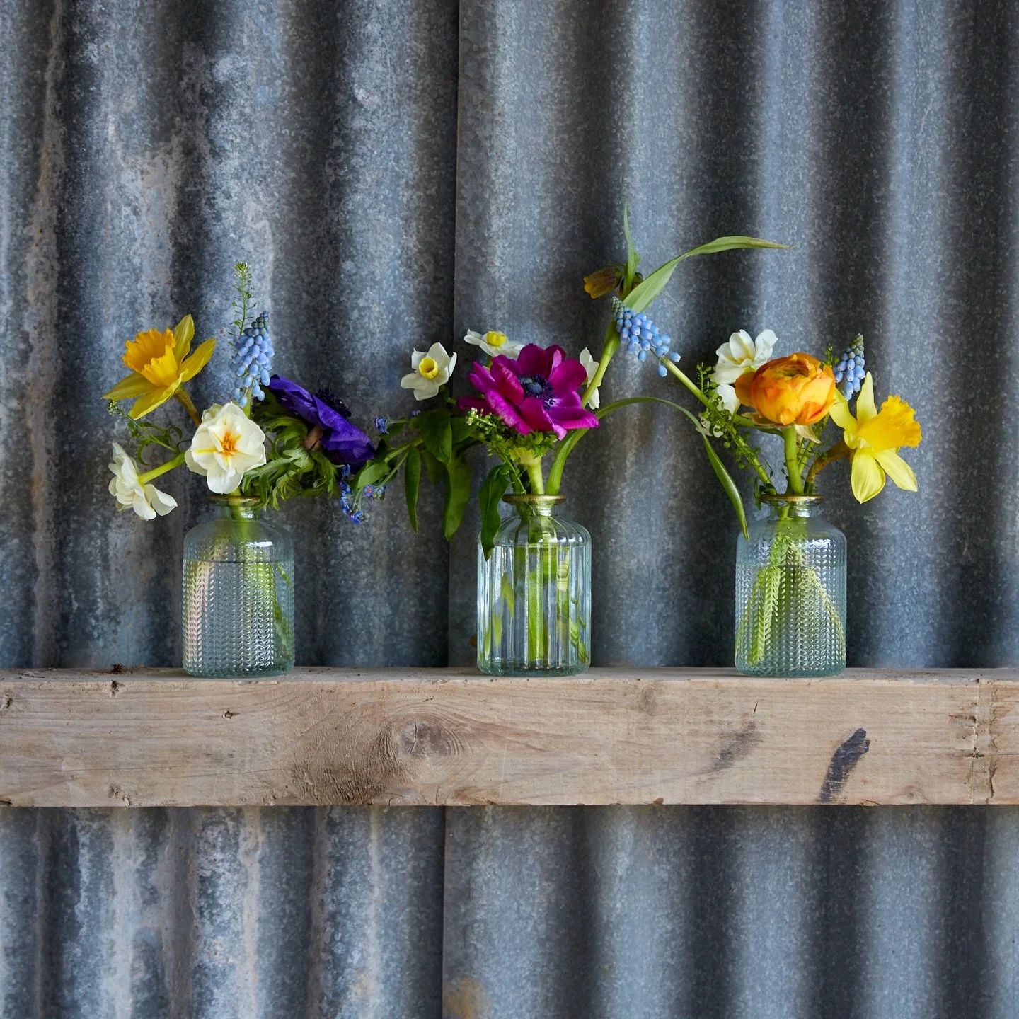 Spring treasure&hellip;.enjoying the small blooms of promise. 

#springflowers 
#springtreasures 
#ourlittleflowershop 
#kingfisherfarmshop