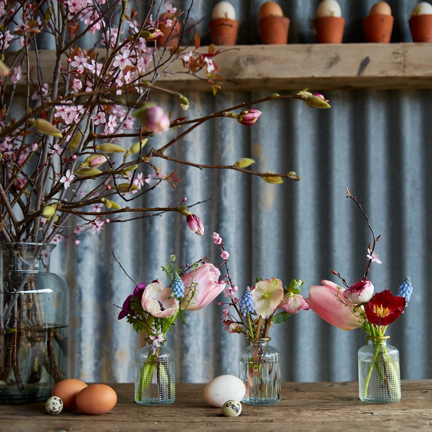 Wishing you all a Happy Easter.

A weekend to be together with family and friends. To gather around a table, share delicious food and perhaps indulge in some chocolate! 

A little reminder that our doors will be closed Easter Sunday. 

Thank you for 