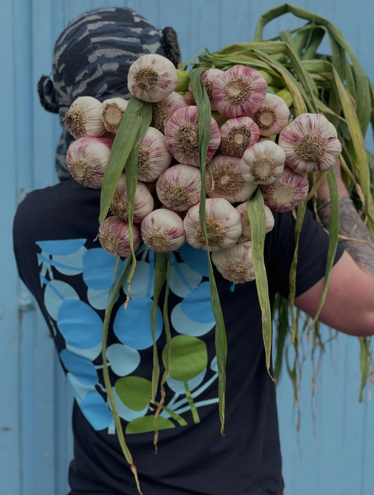 Wet Garlic from our early morning trip to New Covent Garden Market. Stunning!

Thank you @frenchgardenlondon 

#wetgarlic 
#seasonalproduce 
#tripstomarket 
#kingfisherfarmshop