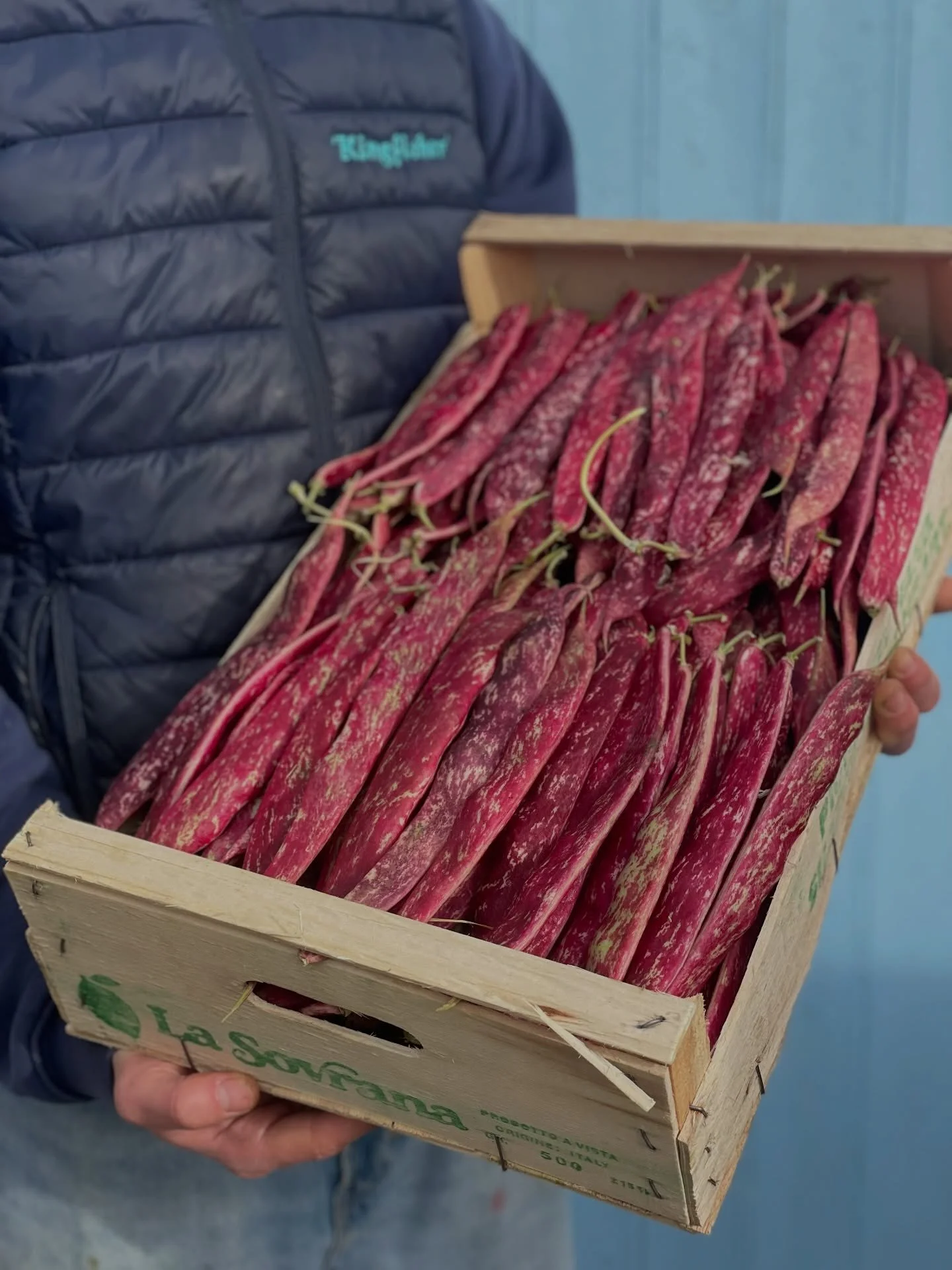 Beautiful borlotti beans from @lasovrana_uk to help us in &lsquo;the hungry gap&rsquo;. The winter crops are coming to an end and we are eagerly awaiting new season harvests. 

When cooked, borlotti beans become beautifully creamy while keeping a gen