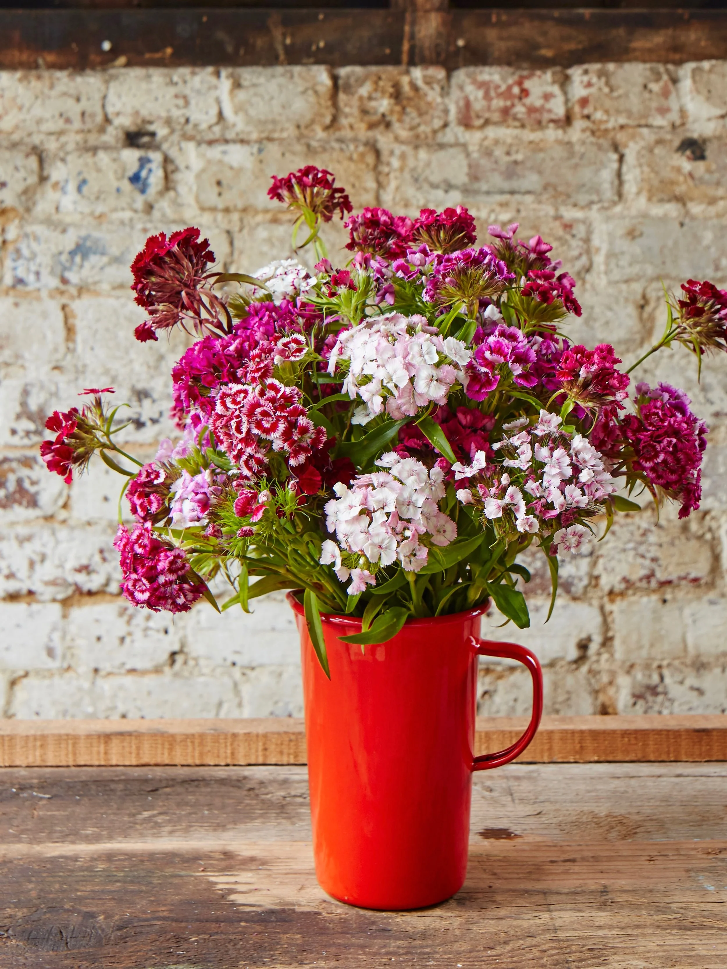 The first of the British grown Sweet William. The perfect bunch for the kitchen table. The selection of British grown blooms is increasing as we enjoy the end of Spring. 

#sweetwilliam 
#britishgrownflowers 
#seasonalblooms 
#flowersforthekitchentab