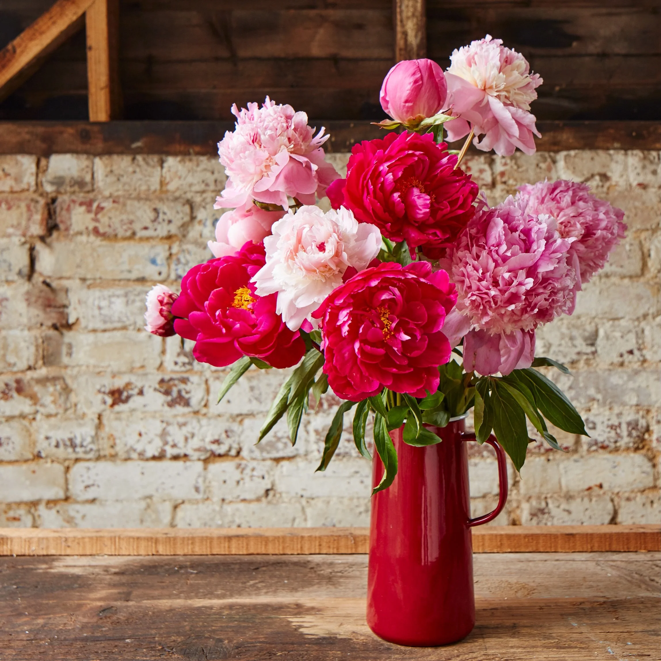 Peony Perfect&hellip;..guaranteed to bring smiles! British peony season is in its stride. 

#peonyseason 
#lovepeonies 
#britishgrownblooms 
#kingfisherfarmshop